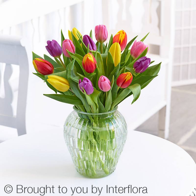 Spring Blossom  - Standard has 15 assorted tulips, deluxe has 20 assorted tulips premium has 25 assorted tulips arranged in a clear glass vase 