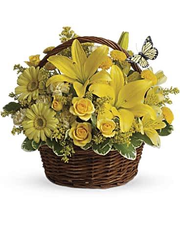 Yellow Garden Basket - Happy yellow basket! A cheerful gift basket for birthdays or anytime you want to send sunshine, it nearly overflows with big lilies, gerberas and roses. Pretty butterflies float over the basket, reminiscent of a summer picnic. A natural brown basket is packed with yellow lilies, gerberas, roses, button spray chrysanthemums, carnations and delicate green leaves. 