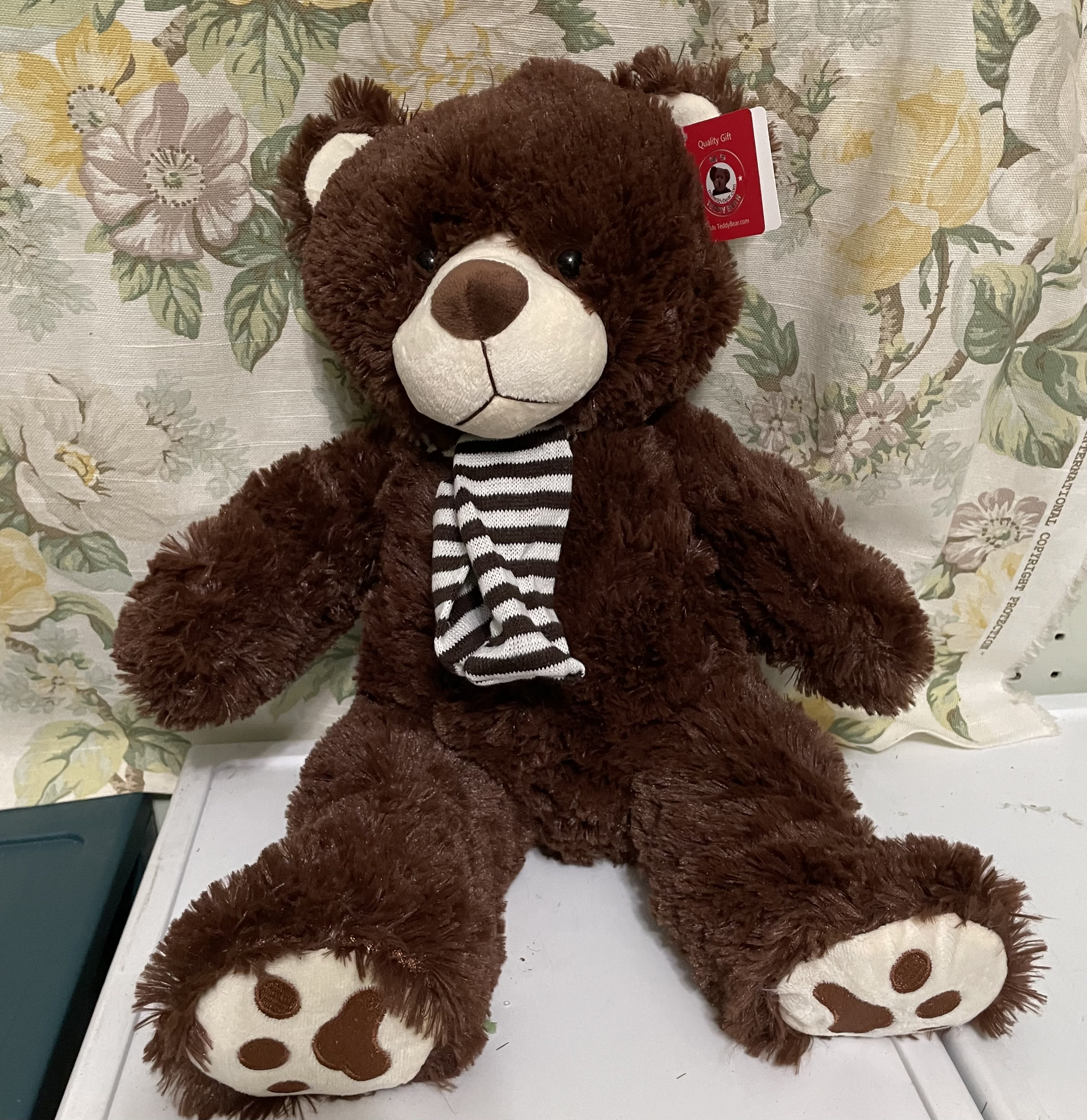 Medium Teddy Bear - Plush bear. Soft and cuddly. Medium size. Color will vary.