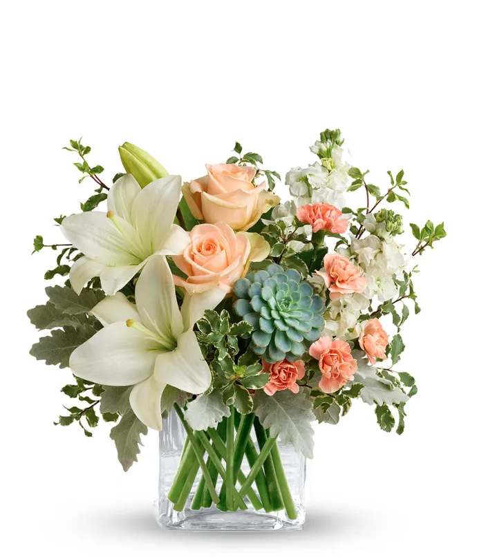 Southern Peach  - Looking to send a unique bouquet? This is it! Bringing an old feel with a modern touch, the Southern Peach Bouquet will charm your special someone the second they lay eyes on it! This pastel floral arrangement is perfect for any occasion. Abound with pearly lilies, peachy roses and quaint carnations this bouquet is truly a stunner. Just when you thought that would be enough, this bouquet also features the oh-so popular, green echeveria succulent! Approximate dimensions: 15 1/4 W x 13 1/4 H.