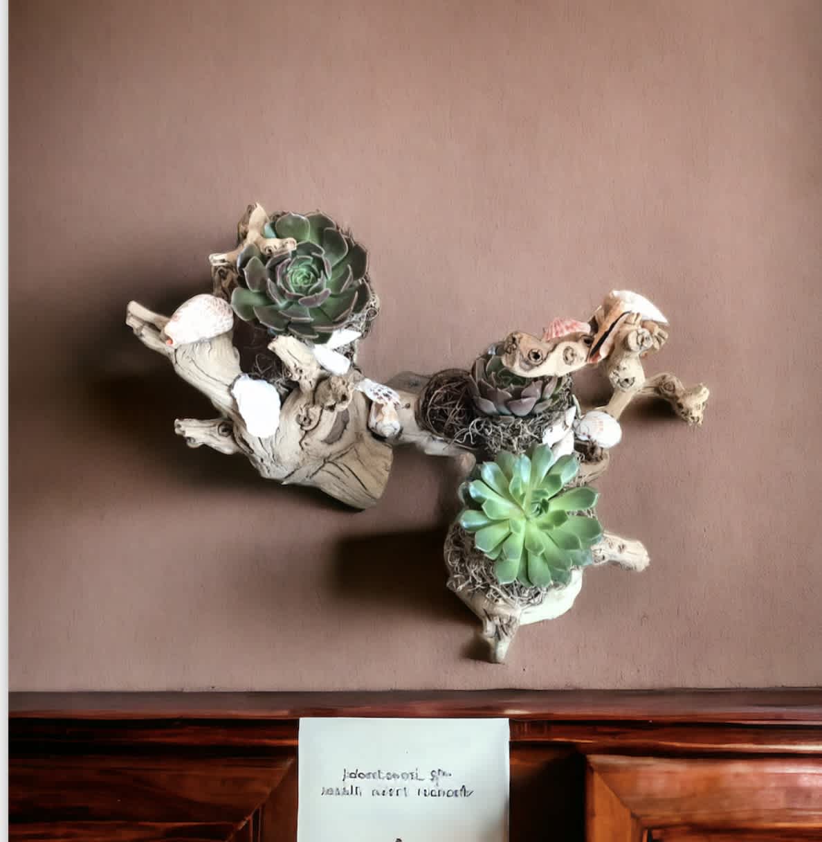 Dandy vine - Decorating 18”  Grapewood with succulents 