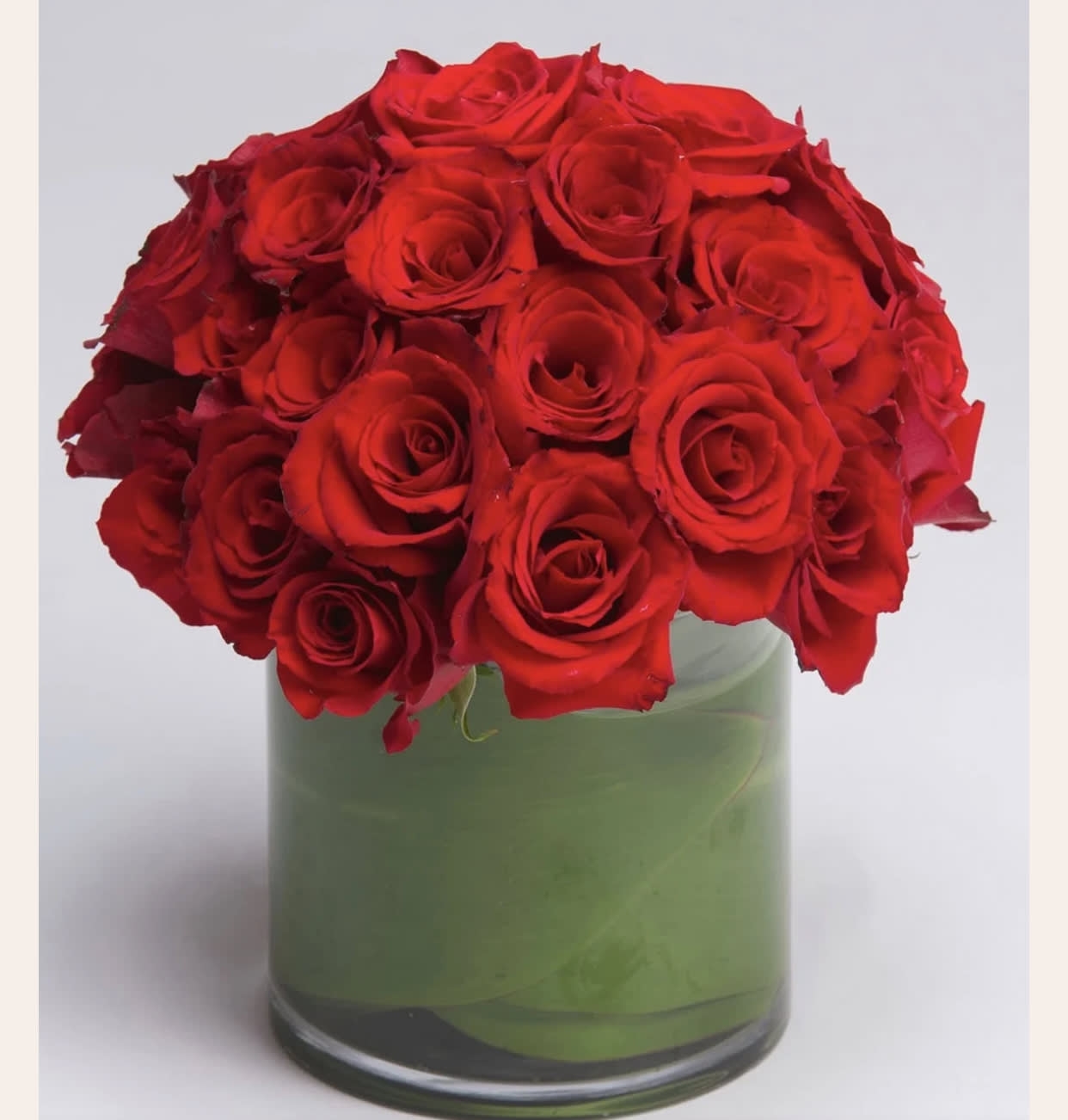 Modern Dozen  - Modern Dozen  Rose color can be different upon request. Call 619 500 9977.   In some instances, our photo may represent an overall theme or look and include a one-of-a-kind vase which cannot be exactly replicated.  Although the actual bouquet may not precisely match the photo, its temperament will. Occasionally, substitutions of flowers and/or containers happen due to weather, seasonality and market conditions which may affect availability. If this is the case with the gift you’ve selected, we will ensure that the style, theme and color scheme of your arrangement is preserved and will only substitute items of equal value or higher value.  DELIVERY TIMES ARE USUALLY BETWEEN 2:30 PM THROUGH 6:30PM ON THE DAY OF DELIVERY. FOR SAME DAY ORDERS, PLEASE GIVE US AT LEAST 6 HOURS TO PROCESS AND DELIVER THE FLOWERS AS PRIOR ORDERS WILL BE PRIORITIZED. MORNING DELIVERY REQUESTS AND SPECIFIC TIME REQUESTS WILL BE AN ADDITIONAL $15 FOR A CONVENIENCE FEE CHARGE. OTHERWISE, SPECIFIC TIMES ARE ACKNOWLEDGED AND WE WILL DO OUR BEST TO ACCOMMODATE, HOWEVER WE CANNOT GUARANTEE ON TIME DELIVERY. GATE CODES ARE MANDATORY FOR OUR DELIVERY DRIVERS TO BE ABLE TO ENTER RESIDENTIAL OR COMMERCIAL BUILDINGS. IF YOU DON’T KNOW THE GATE CODE FOR A DELIVERY, PLEASE CONTACT THE RECIPIENT AND PROVIDE US WITH IT OR OUR DRIVER CAN CONTACT THE RECIPIENT BEFORE BEGINNING A DELIVERY ROUTE TO OBTAIN THE CODE. OUR POLICY STATES THAT DRIVERS WILL ONLY WAIT FIVE MINUTES OUTSIDE THE GATE FOR A CALLBACK. IF A DRIVER HAS TO LEAVE A PROPERTY, THE DELIVERY IS REASSIGNED FOR THE NEXT DAY AND MAY CHARGE AN ADDITIONAL DELIVERY FEE. THANK YOU FOR YOUR BUSINESS.