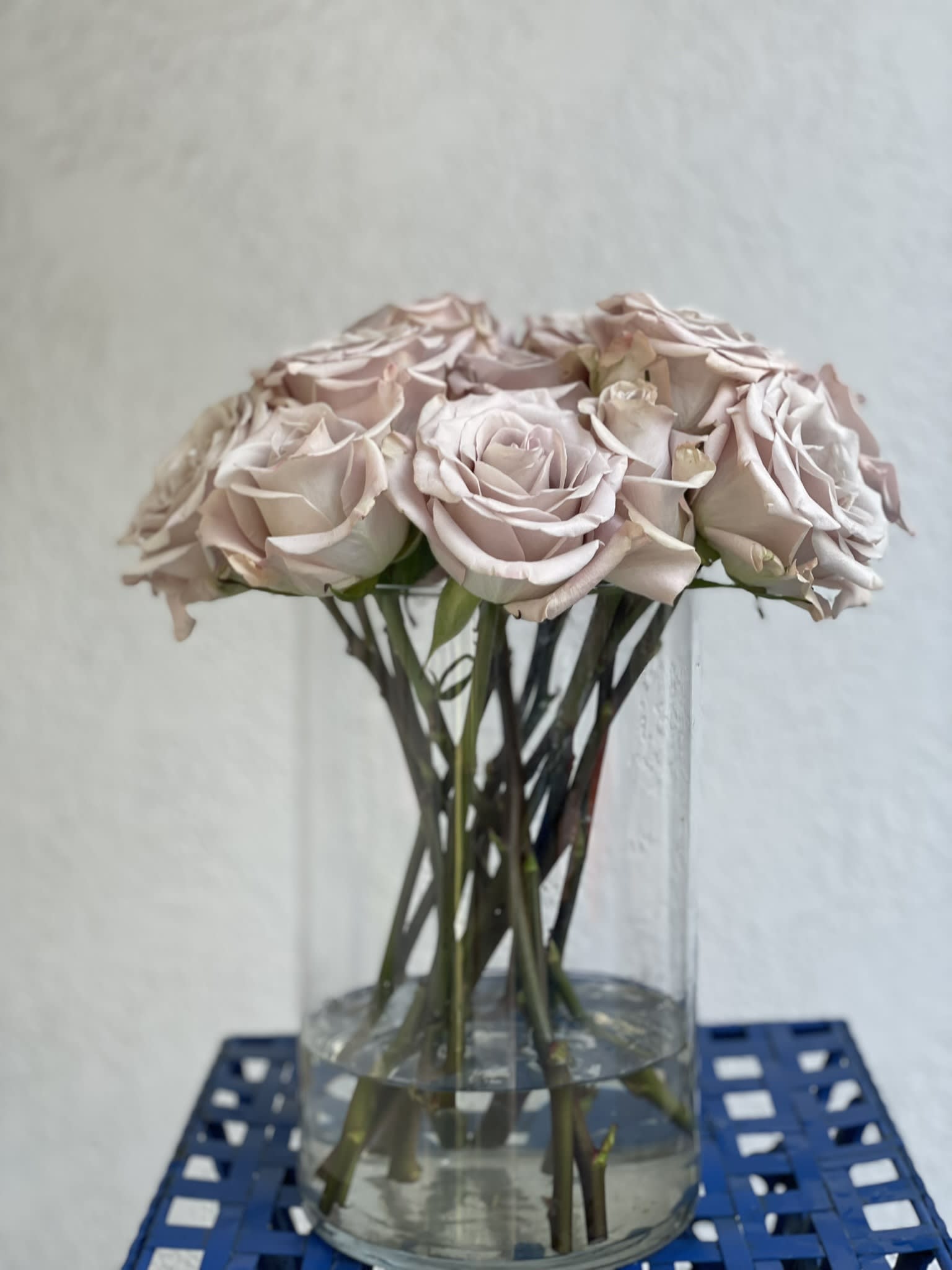 Baker's Dozen: Quicksand Roses - 13 Gorgeous and unique quicksand roses arranged in an elegant vase