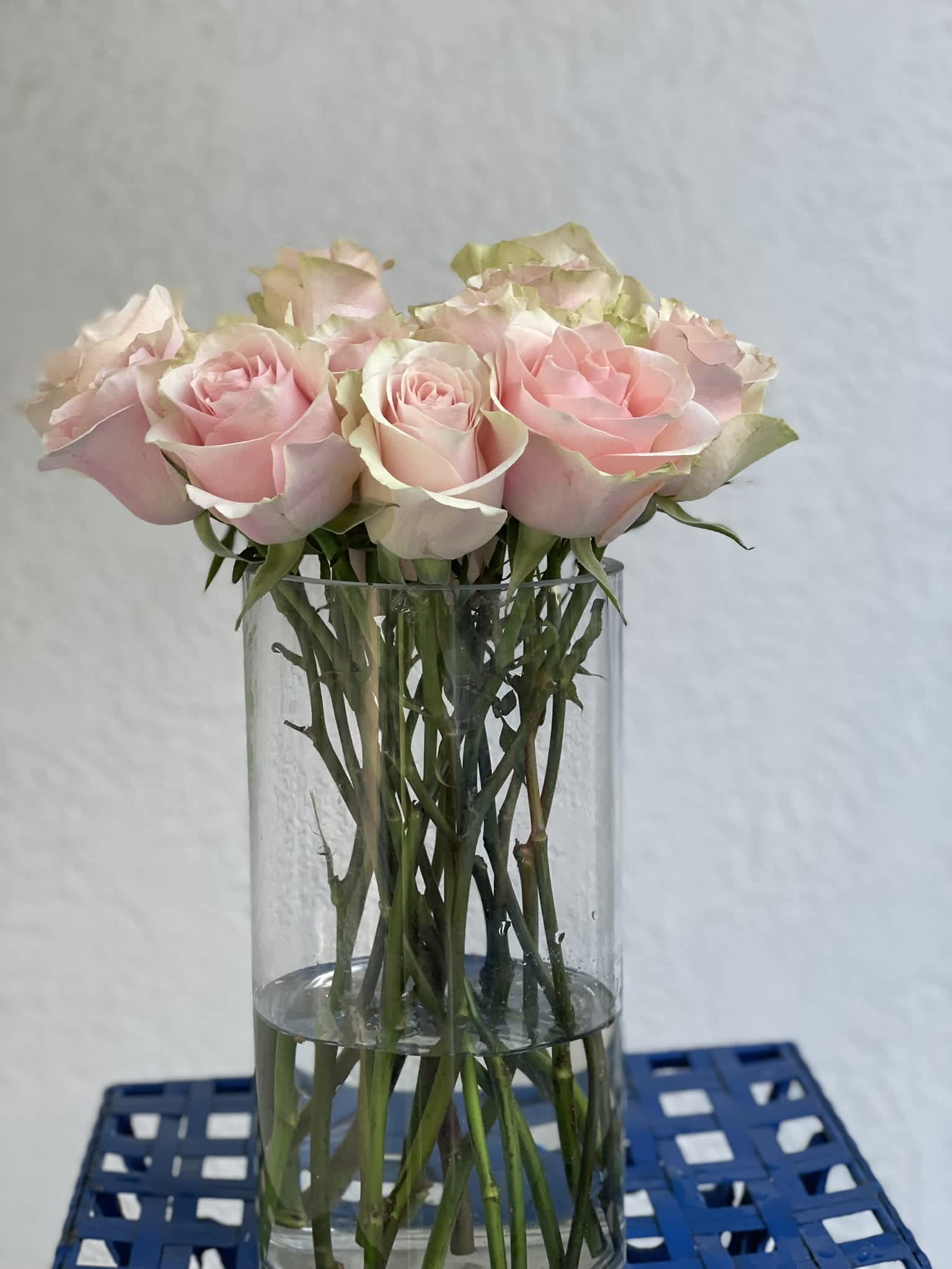 Baker's Dozen: Blush Pink Roses - 13 gorgeous long stem pink roses with light green highlights around the bud arranged in an elegant vase