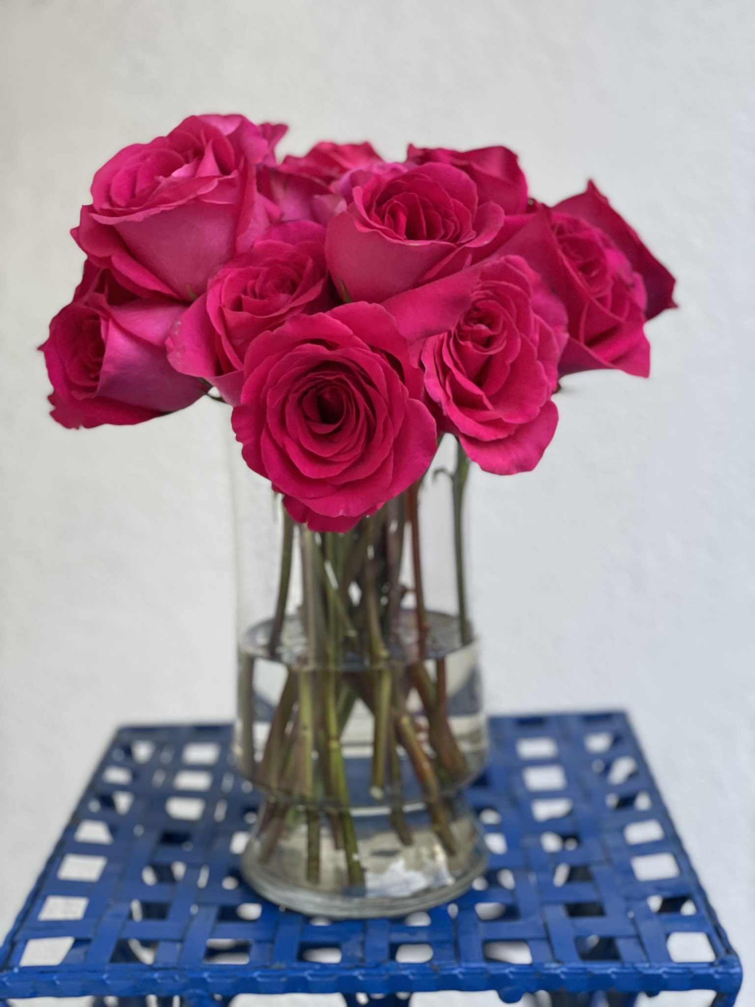 Baker's Dozen:Hot Pink Roses - 13 bold and beautiful long stem hot pink roses arranged in an elegant vase.