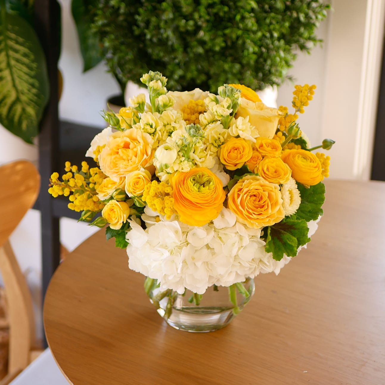 Eternal Sunshine - This bright arrangement features a stunning array of our best yellow blooms, including ranunculus, fragrant stock, roses, mimosa, matsumoto with white hydrangeas, elegantly displayed in a glass vase. Perfect for bringing a touch of vibrant sunshine indoors, making it an ideal choice for those seeking a timeless floral centerpiece to light up their home or celebrate a special occasion.