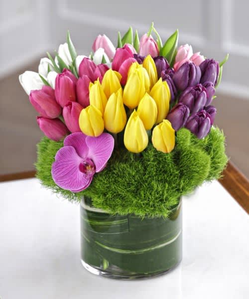    Spring Classics  bouquet - The deep tones of this bouquet sparkle like jewels. Tulip assorted are arranged tight above green hydrangea or trix dianthus. The bouquet is accented with a purple Phalaenopsis bloom.