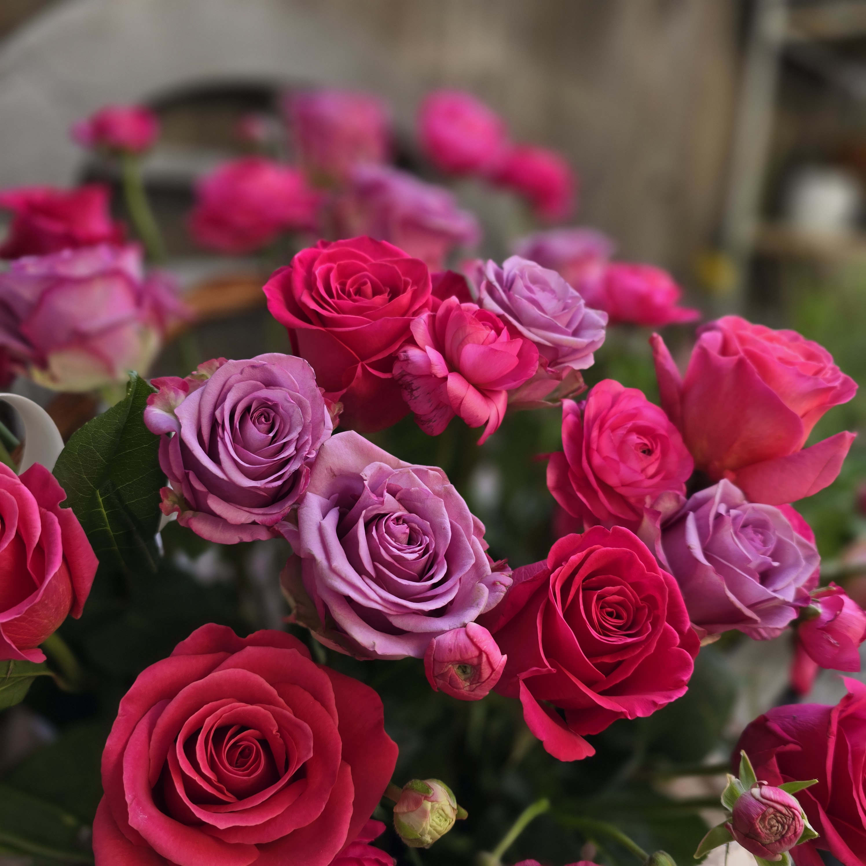 Designer's Choice Premium - Need something extra special for your loved one to stop the show? Let our talented Floral Designer Assist you get something beautiful made and delivered today! Our Designer will select the best in stock season Florals for you and design something gorgeous in our upgraded styles.. With close attention to your occasion type we will select from our seasonal stock an appropriate color and style for your loved one. Please enjoy the gallery below of our previous Designer's Choice arrangements
