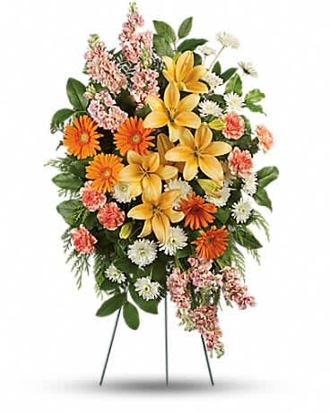 Treasured Lilies Spray - An image of radiant beauty! The sunny hues of this magnificent arrangement of lilies, gerberas and carnations speak to the warmth of your memories. This glorious spray includes peach asiatic lilies, orange gerberas, orange carnations, peach stock and white cushion spray chrysanthemums, accented with flat cedar, leatherleaf fern and lemon leaf.