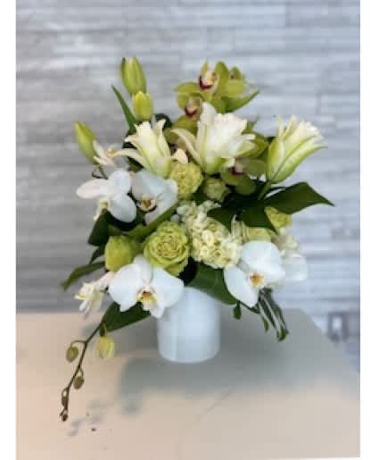 Beautiful Blossoms - Beautiful Blossoms