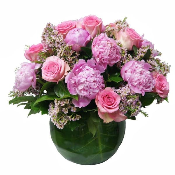 Pretty Pink Peonies and Roses Bowl - It is simply beauty-full! Bursting with lush peonies and radiant roses, this delightful pink arrangement is accented with waxflower and brings spring joy to that special someone. This bouquet is hand-arranged by our designers in a clear glass bubble bowl vase with a tropical leaf artistically placed inside. Standard size is approximately 12in (H) x 12in (W). Deluxe version is larger and features more premium blooms along with a larger glass vase.  Standard - 12 Pink Roses, 6 Pink Peonies, Waxflower and Fresh Garden Greens - 8in Bubble Bowl Vase  Deluxe - 24 Pink Roses, 12 Pink Peonies, Waxflower and Fresh Garden Greens - 10in Bubble Bowl Vase  Please Note: Shades of pink blooms used in this bouquet may vary from light to hot pink.  Care Tips: Place your bouquet in a cool location away from direct sunlight, heating or cooling vents, drafty places, directly under ceiling fans, or on top of televisions or radiators. Check water level daily, keep the vase filled with clean water. Change water every 2-3 days and apply a sharp fresh cut to the stems to ensure extended flower's life span.
