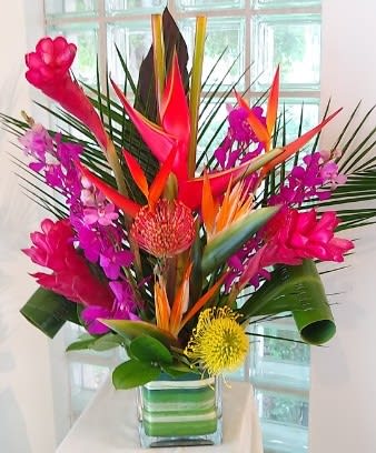 Picture Perfect - When you want a tropical arrangement but don't have the space for a full-sized tropical arrangement.   This fits nicely on an end table, a hotel or hospital room (where space is severely limited), or the center of a dinner table.  Approximately 20&quot;-24&quot;H x 12&quot;-16&quot;D. The attached picture is our deluxe version of this arrangement.