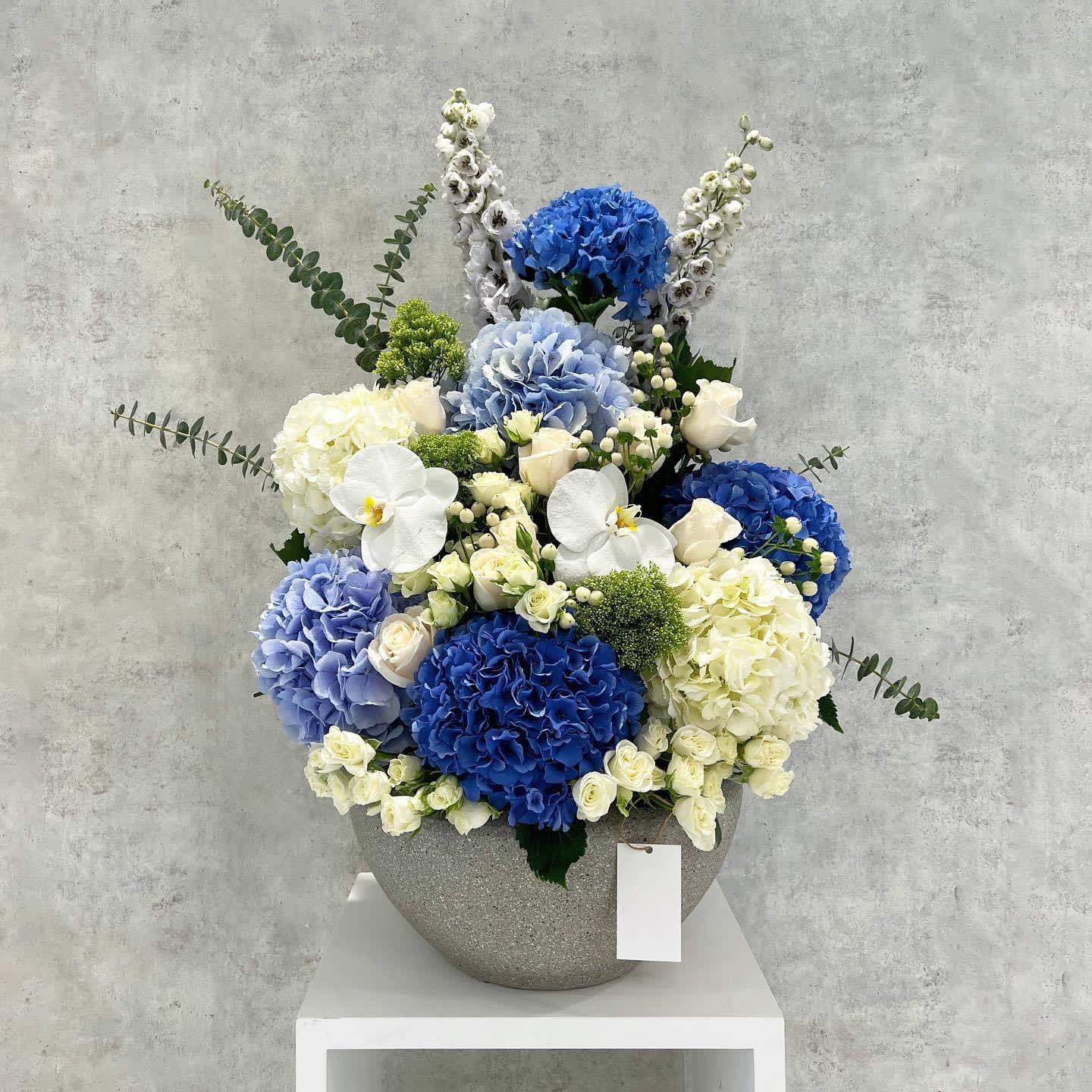 Blue hydrangeas, orchids - Standard- Your order will be arranged approximately as shown on our website