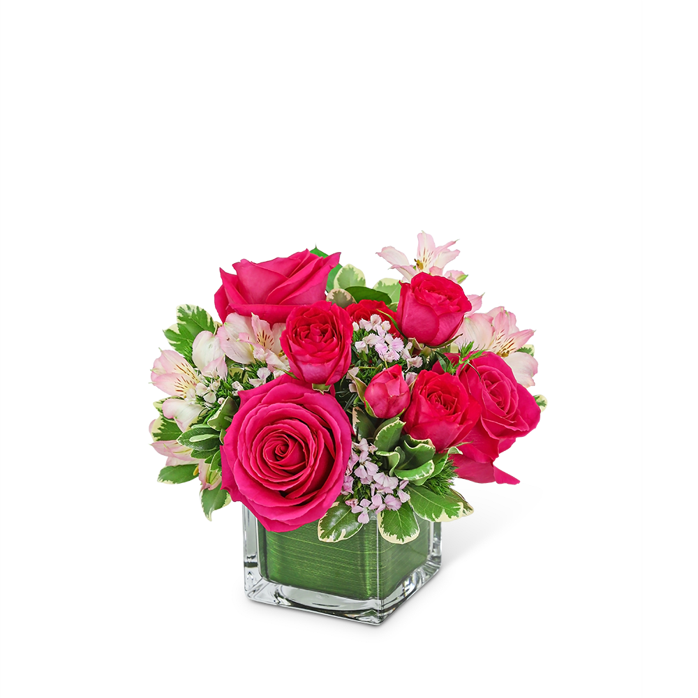 Cosmo Cutie - If you’re looking for an easy way to brighten someone’s day, this is it! Cosmo Cutie has a combination of bright pink roses, alstroemeria, and beautiful fresh foliage in a leaf-lined vase. This chic bouquet will light up any room or space and is the perfect gift for any occasion.