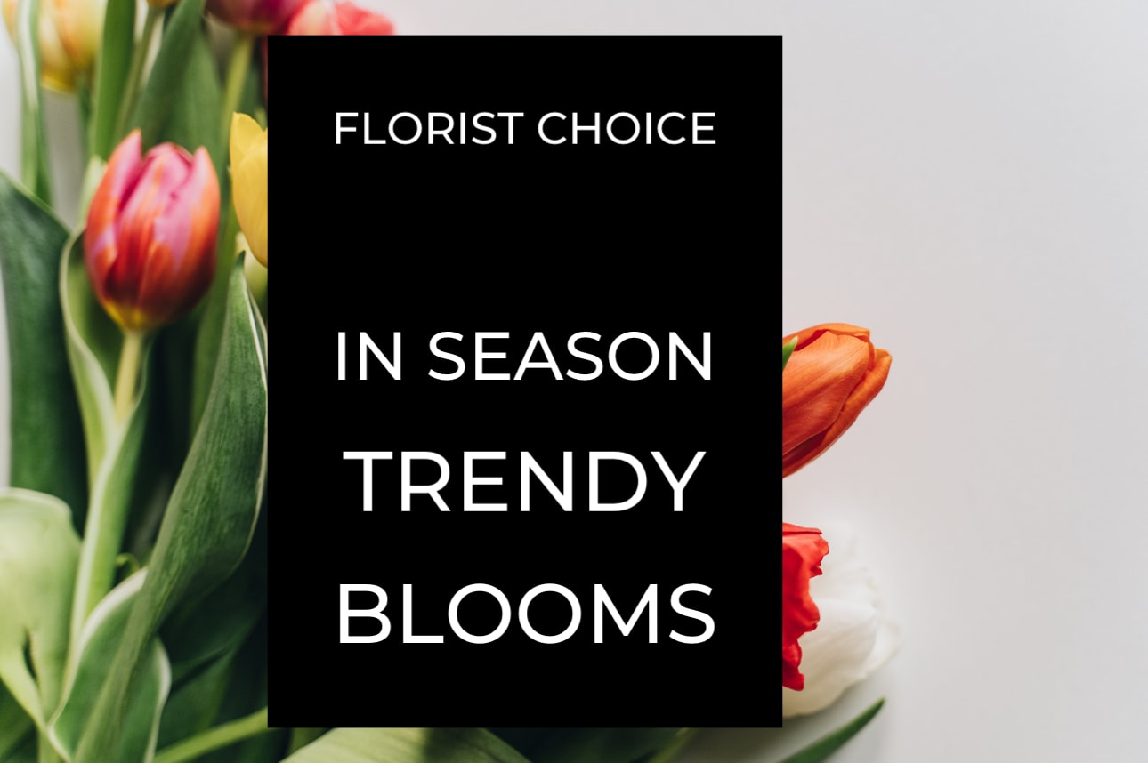 The Florist Choice mix - A designer will create a beautiful assorted arrangement with our in season blooms of the day. Fresh, mixed shades and textures will make any space pop! Usually is a compact arrangement. If you desire a tall and airy style please request in special instructions.  Flowers and containers are based on availability. While we are unable to guarantee a specific flower style, we always ensure your arrangement is beautiful, fresh and vibrant.