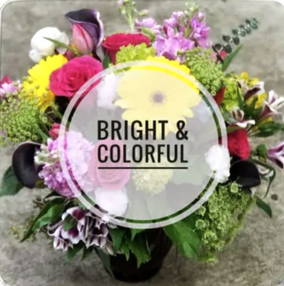 Bright and Colorful Designer's Choice by Parisian Florist - Our designer will pick out the lovelies blooms in the shop and create an arrangement just for you.