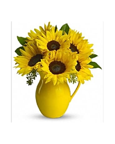 Sunny Day Pitcher Of Sunflowers - Pour on the fun by sending this dazzling bouquet of summer's brightest blooms! Great if you're invited to a pool party, BBQ or just want to brighten up someone's day. Stunning sunflowers, salal and seeded eucalyptus are beautifully arranged in a brilliant yellow ceramic pitcher. This gift will be serving up fun and sun for years to come. Approximately 13&quot; W x 15 1/2&quot; H. All flowers and colors are subject to change due to availability.    FCT153-1A