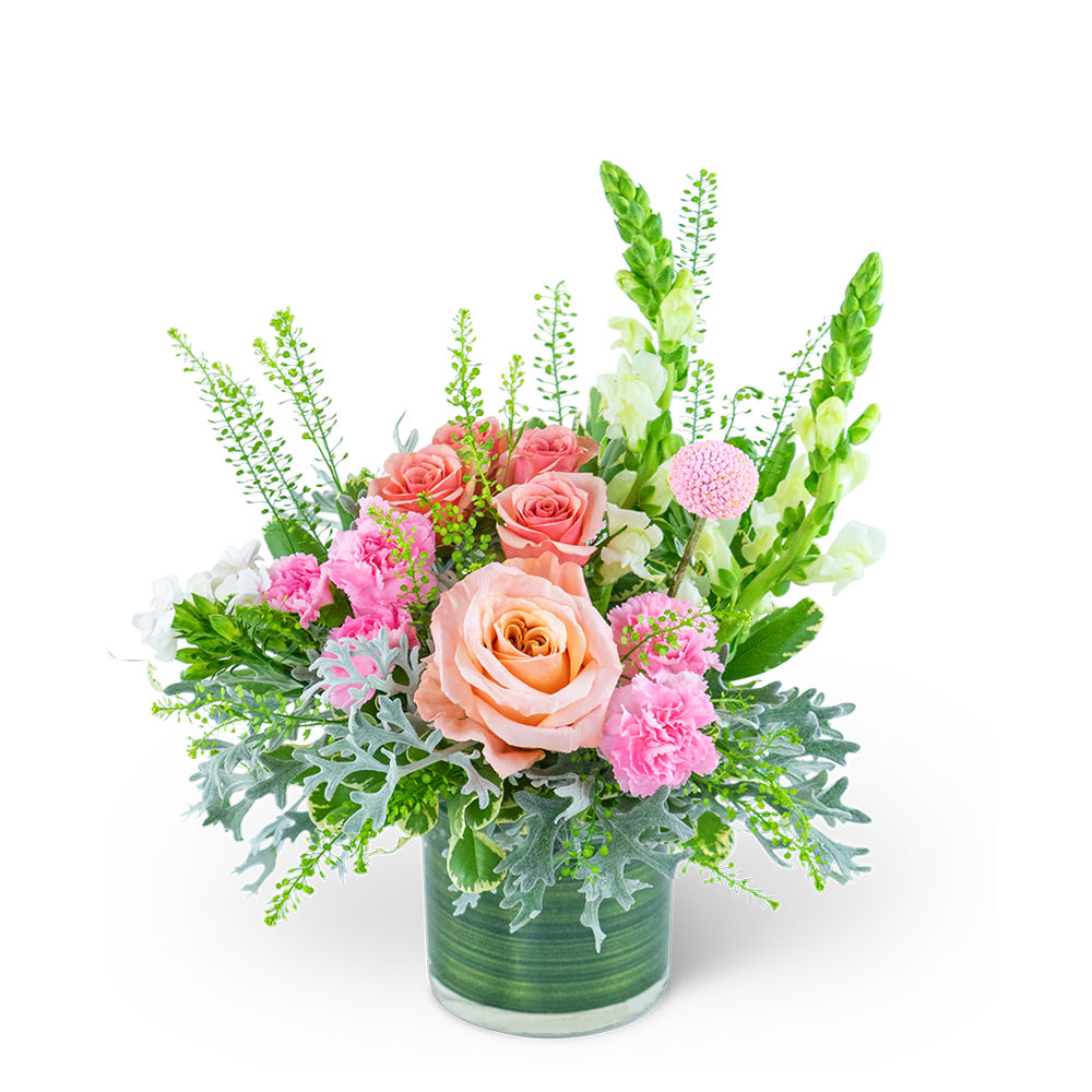 Rosy Coral Romance - Capture the essence of romance with Rosy Coral Romance, an enchanting flower design that brings together the delicate colors of pink and peach. This elegant arrangement features a stunning mix of Roses, Carnations, Solomio, Craspedia, Snapdragons, and premium foliage that complement each other perfectly. Presented in a leaf-lined cylinder vase, Rosy Coral Romance is guaranteed to delight any recipient and add a touch of warmth and beauty to any space.