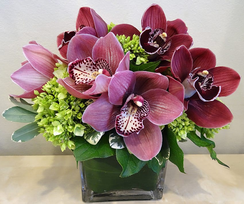 Sophisticated  - Rich and vibrant cymbidium orchid blossoms nestled in a bed of lime green hydrangea designed in a clear glass rectangular vase for a modern touch.