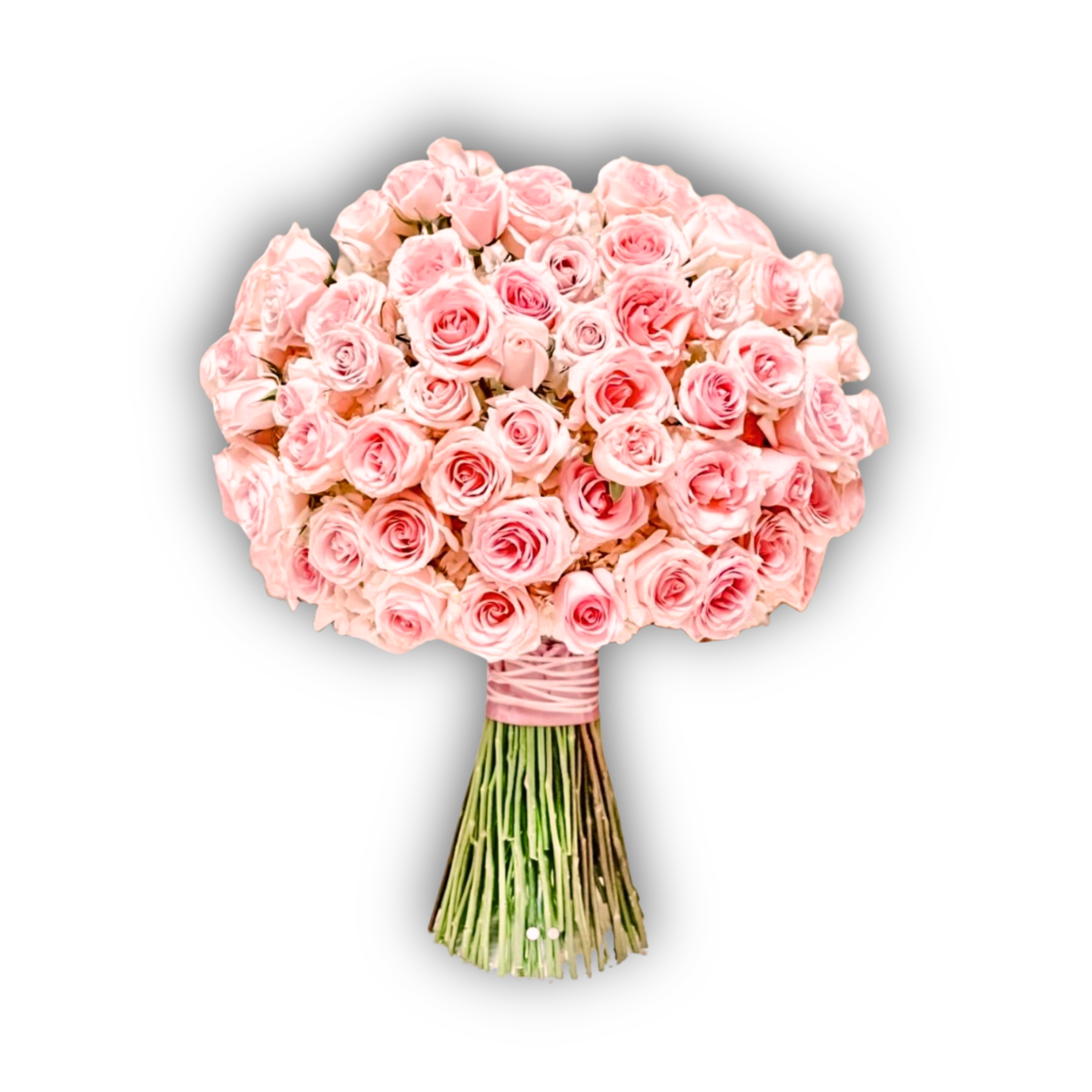 Regal Roses - 100 Roses Bouquet 