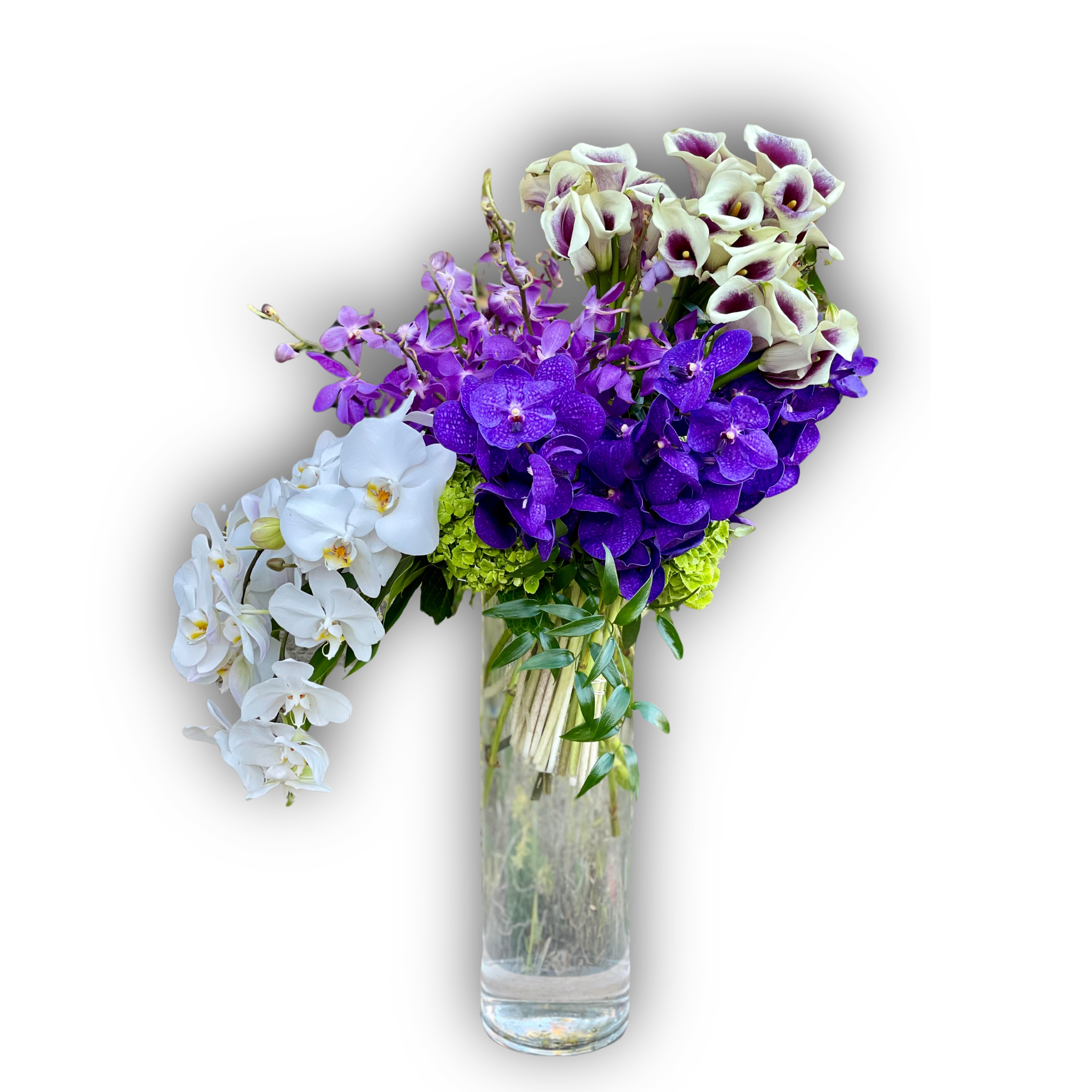Everlasting - Orchids, Hydrangeas, Calla Lillies