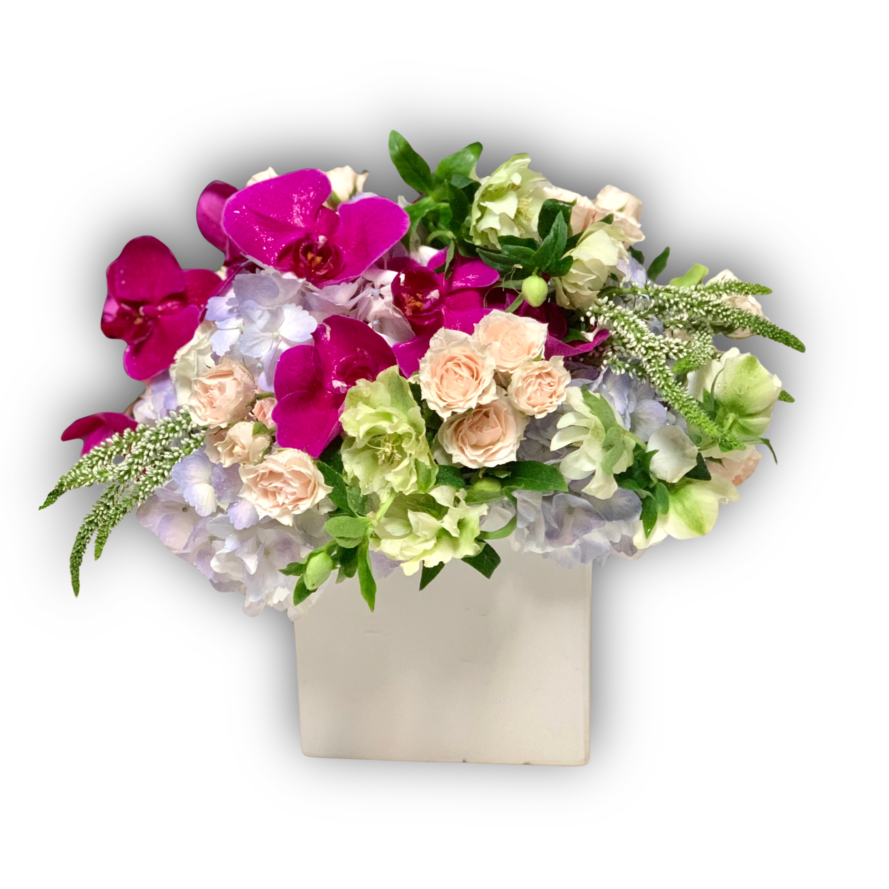 Butterfly Bliss - Orchid, Hydrangea, Spray Roses, Veronica 