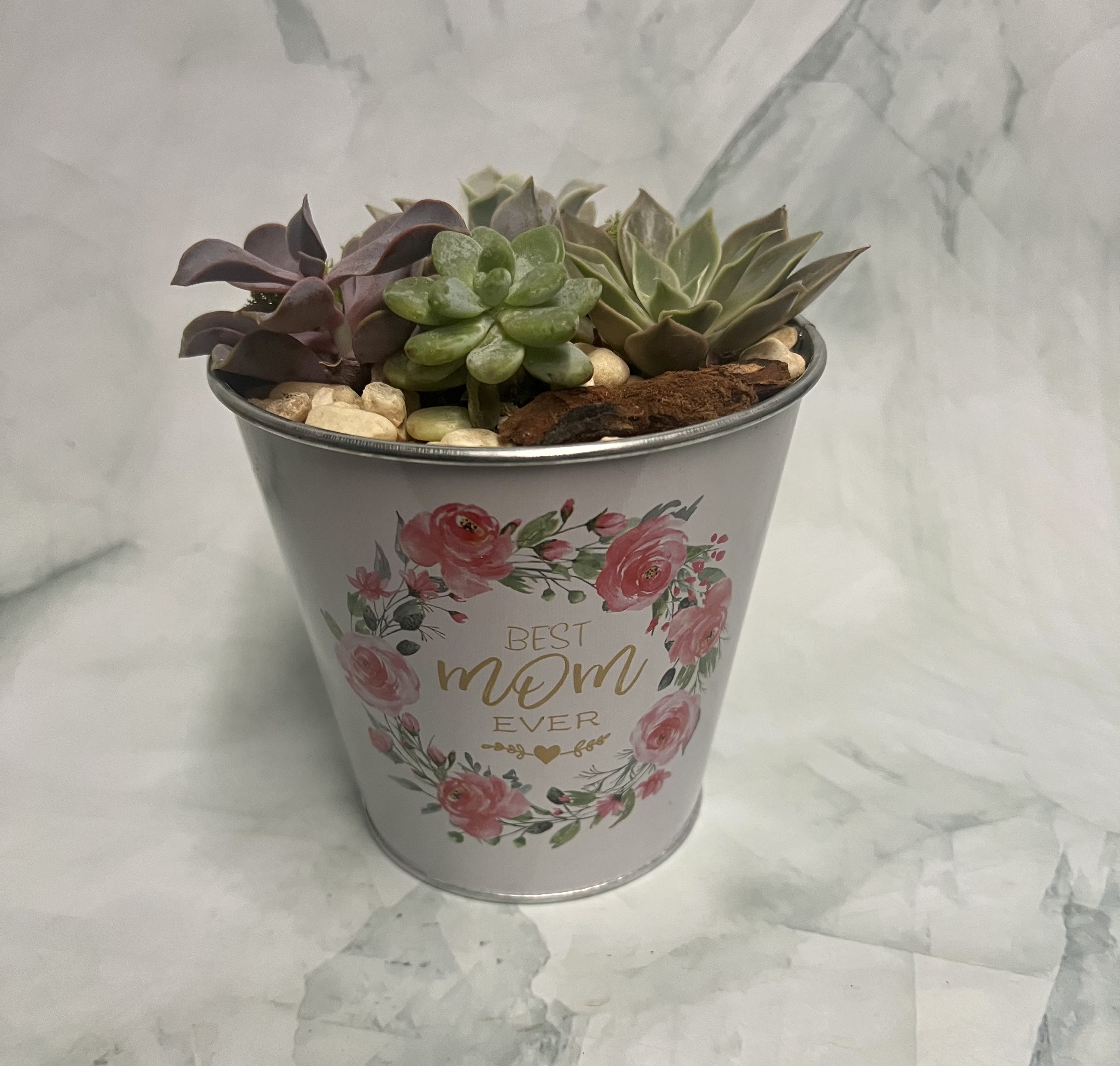 Best Mom Ever Bucket - This is the perfect Mother's Day gift for the mom that likes plants. There are 4 assorted succulent plants in a beautiful container that is a reminder of how great of a mom she is. 