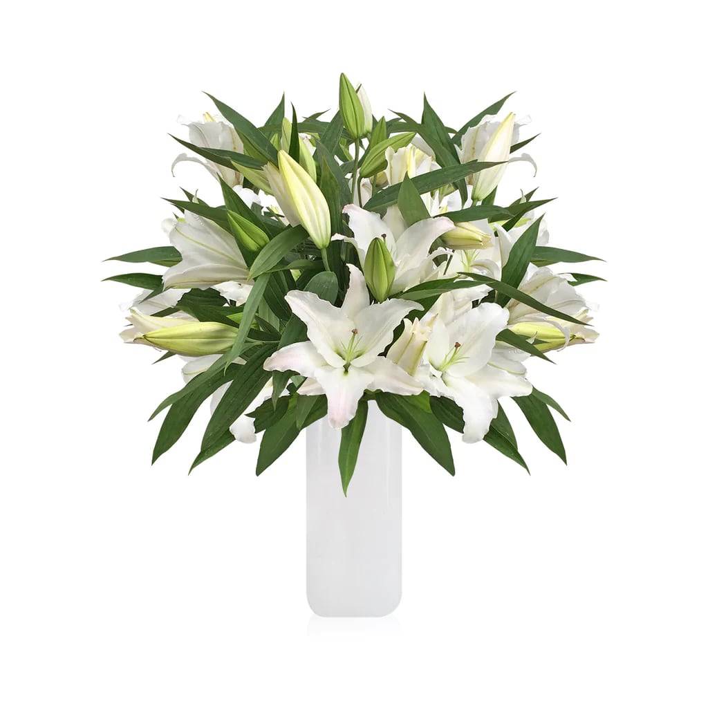 Siberia White  Lilies Bouquet - The star-like formation and ruffled edges of Siberian Oriental Lilies create a fresh and elegant look, while their captivating aroma draws admiration.