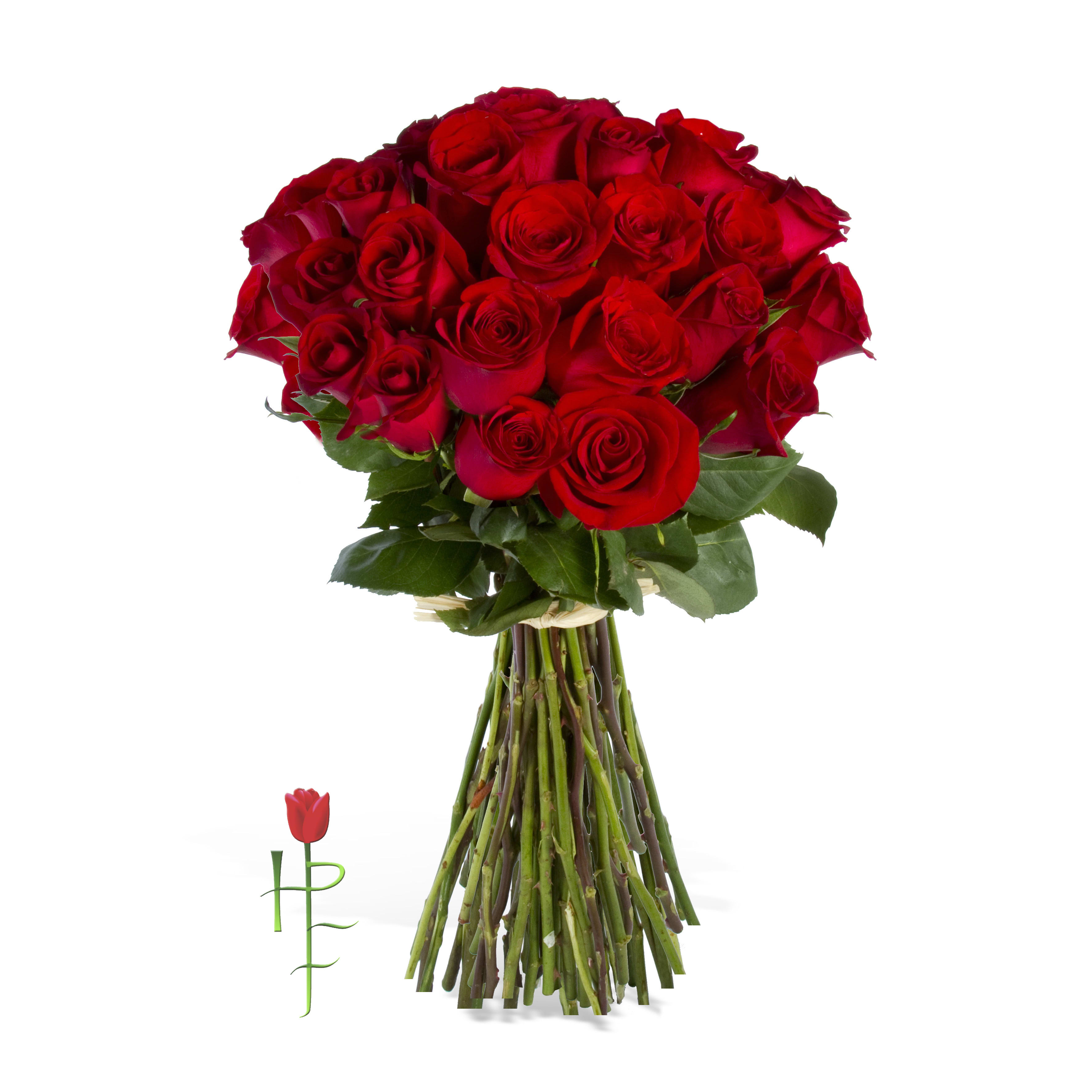 Rose Radiance - 24 long steam roses with green foliage arranged into a hand-tied bouquet.