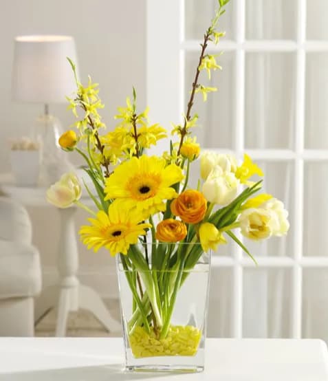 Yellow Vibrance - Think spring all year long with this celebration of sunshine blossoms - forsythia, yellow Gerbera daisies, orange ranunculus and white tulips.
