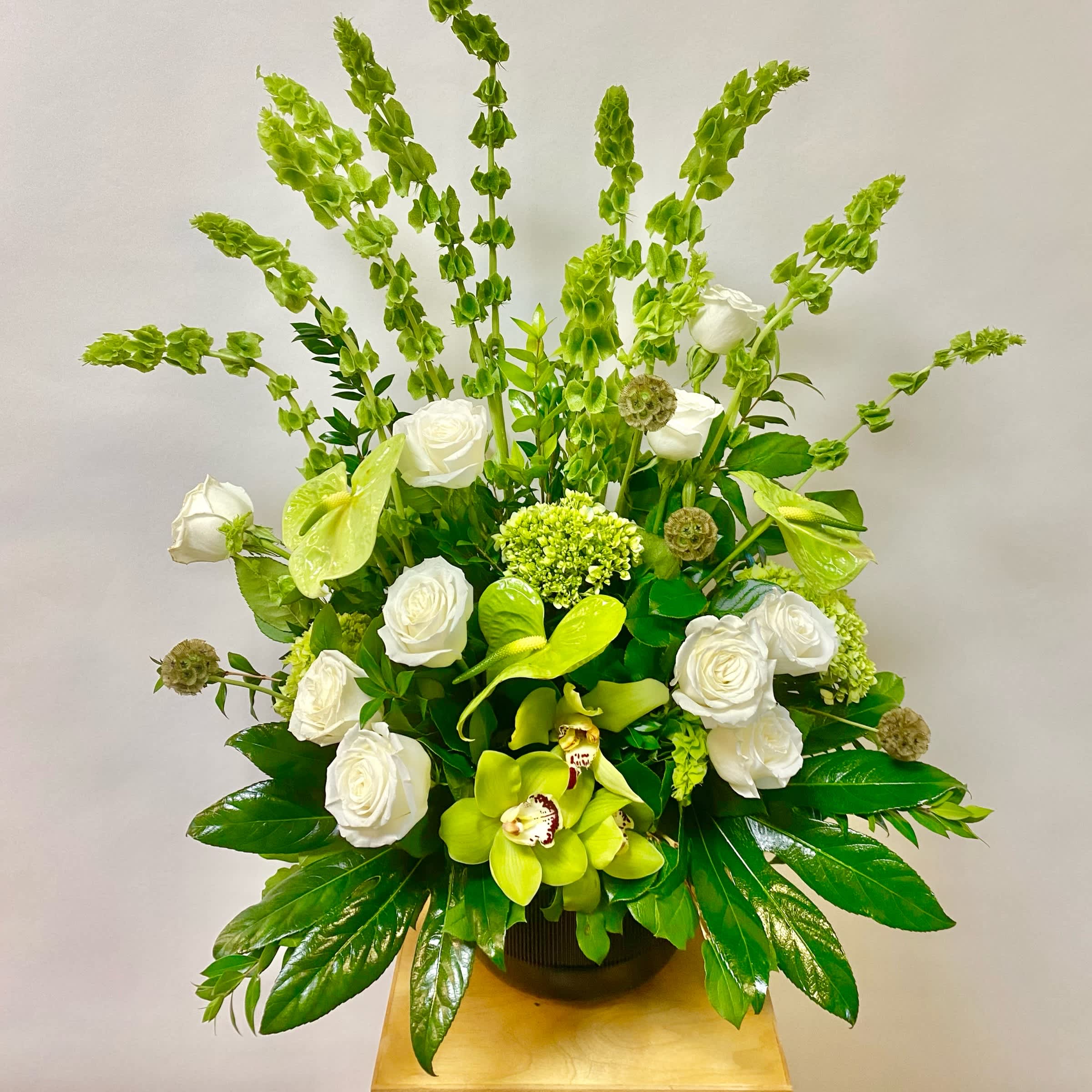 Eternal Affection Arrangement - This all White and Green Funeral Arrangement includes White Roses, Green or White Anthurium, Bells of Ireland, Green Hydrangea's, Green Cymbidium Orchids, Scabiosa Pods or Yellow Billy Balls and Aralia Leaves. Or as Similar as Possible. 