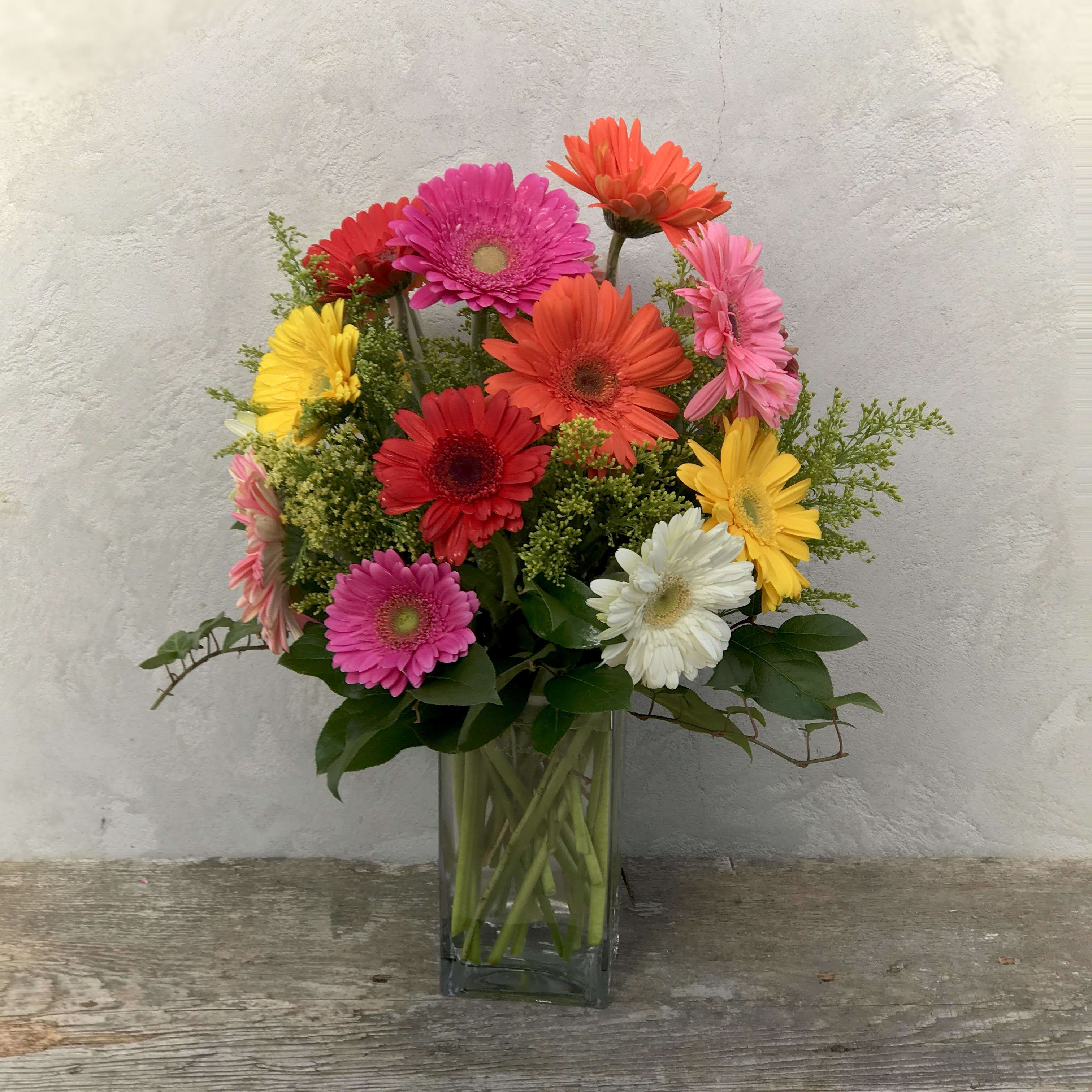 Daisy Dream Daisy Dream - A colorful arrangement of Gerber Daisies with a touch of solidago and greenery. Approximately 18" tall. *Substitutions may be applied*