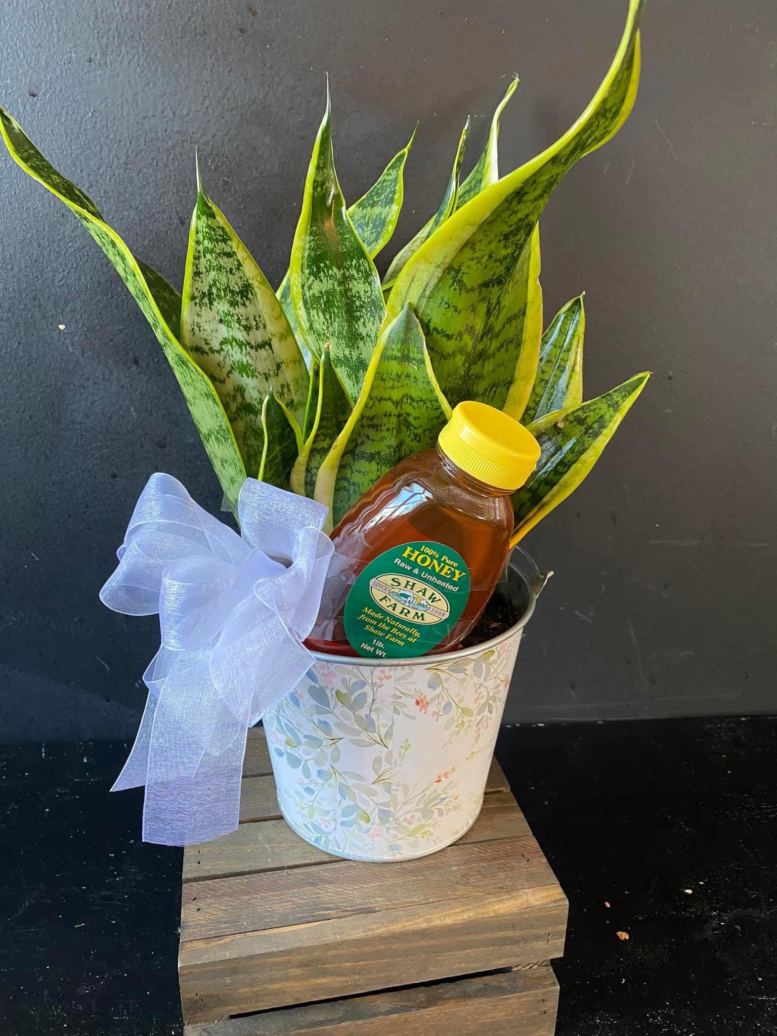 Plant with honey - Added jar of honey