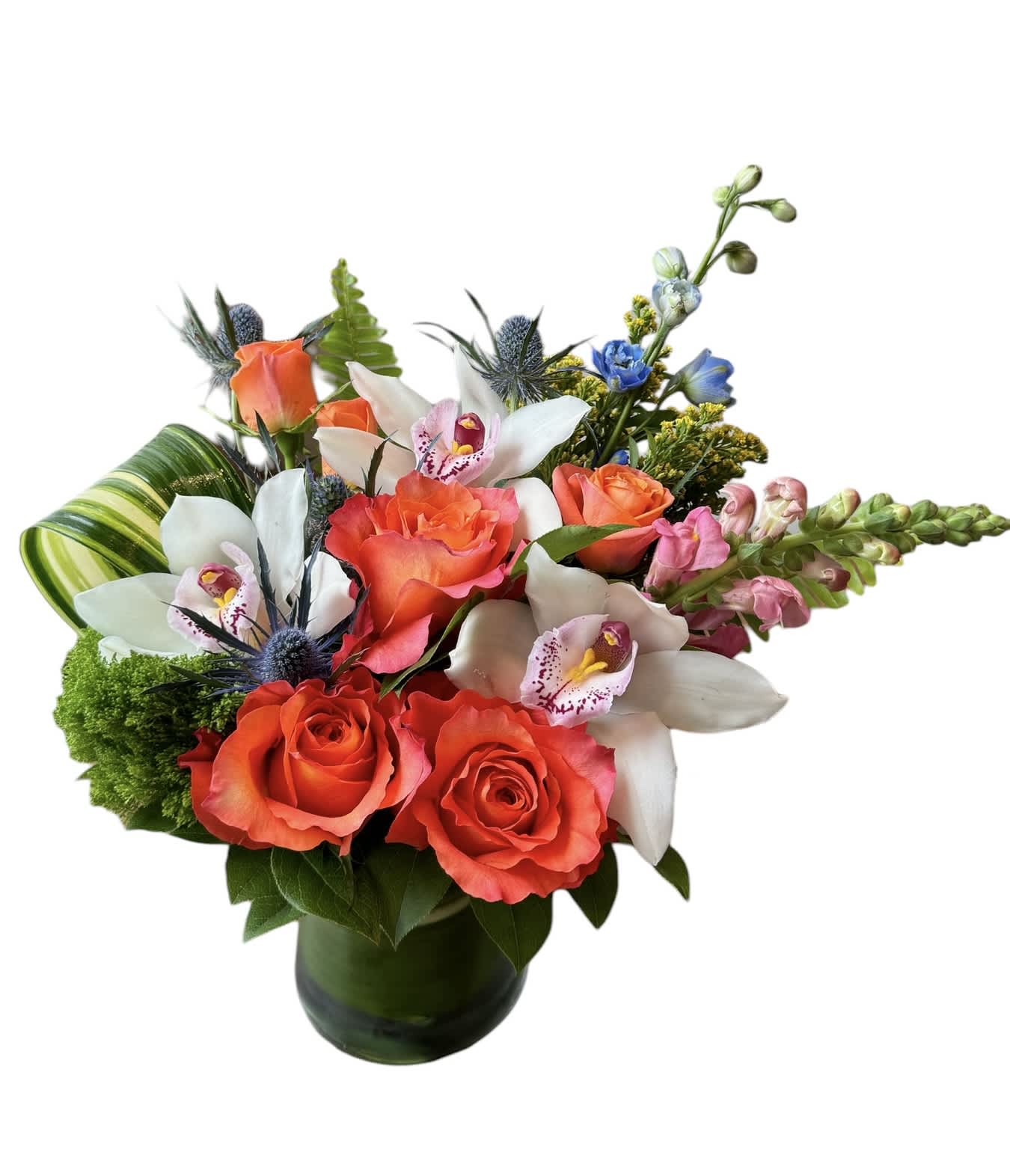 Bright Spring  - Orange roses, white cymbidium orchids, orange spray rose, blue thistle, blue delphinium, pink snapdragon, aster and greens filled in a glass vase. 