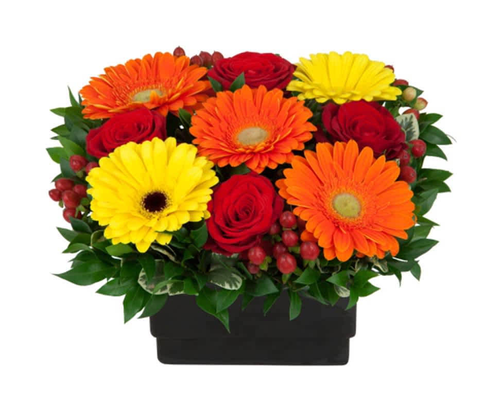 Shades of the Sun - A sensational simulation of the sun in florals.  Beautifully arranged are red roses, hypericum berries, orange gerbera and yellow gerbera.  