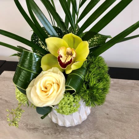 Sweet Sincerity - A soft white rose paired with a lime green orchid and arranged into a modern keepsake container with mixed tropical greenery.  