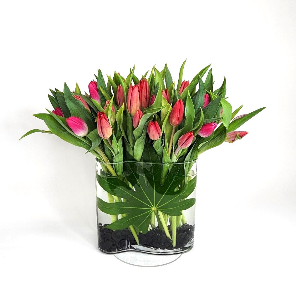 Curvaceous - Tulips arranged in a modern curvy glass vase