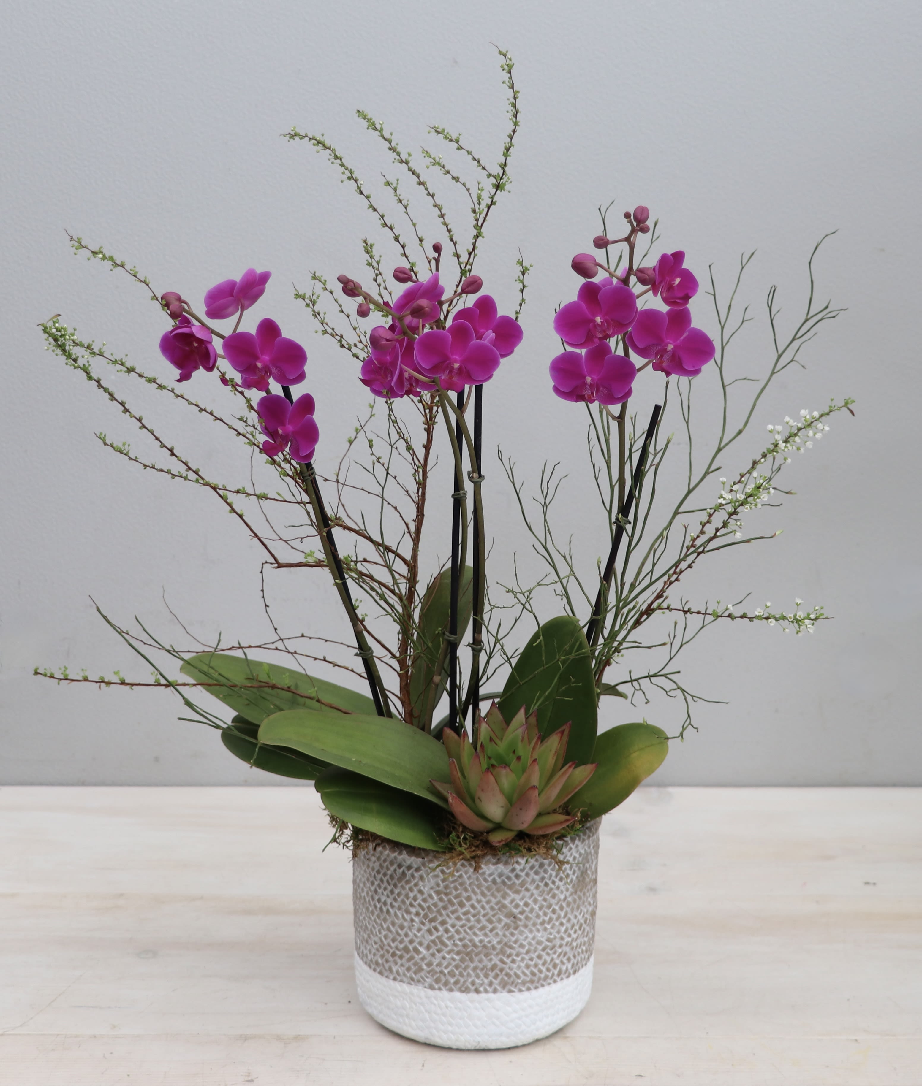 Mini Purple Orchids Vase - My Glendale Florist  - This arrangement features two double stem mini purple orchids in a ceramic basket vase, accompanied with seasonal branches. Overall the arrangement stands at about 18&quot;. 
