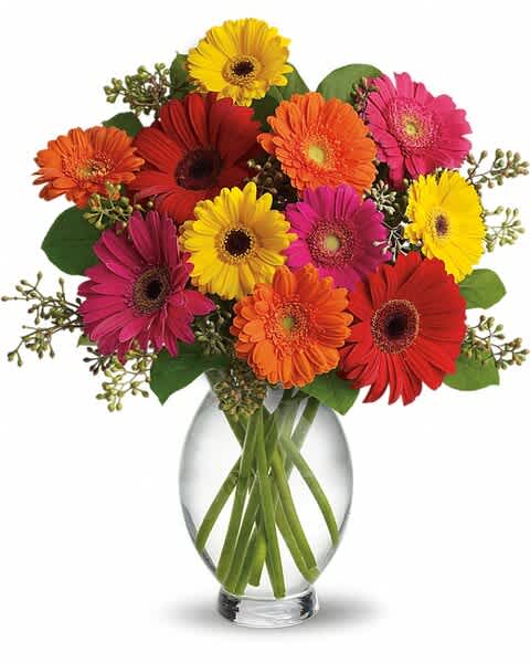 Teleflora’s Gerbera Brights - Gerberas are so full of color, charisma and character, and this arrangement showcases their glory. Hot pink and red gerberas, miniature hot pink and orange gerberas and yellow seeded eucalyptus are delightfully delivered in an Inspiration Vase.