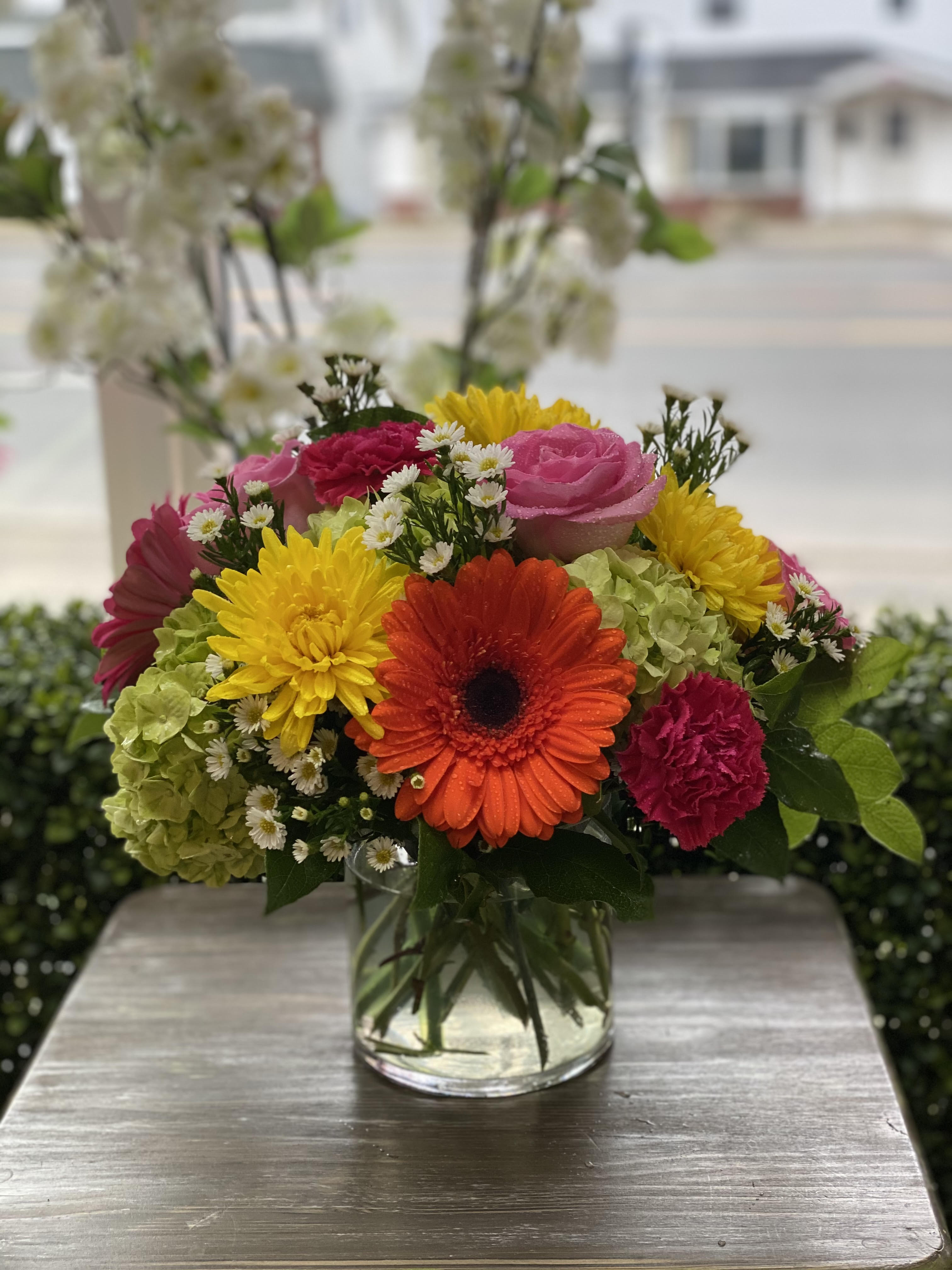 Pop of Spring - Orange gerbera, pink roses, hot pink carnations, yellow cremone, green mini hydrangea, pink gerbera daisy, white monte casino asters in a clear glass cylinder