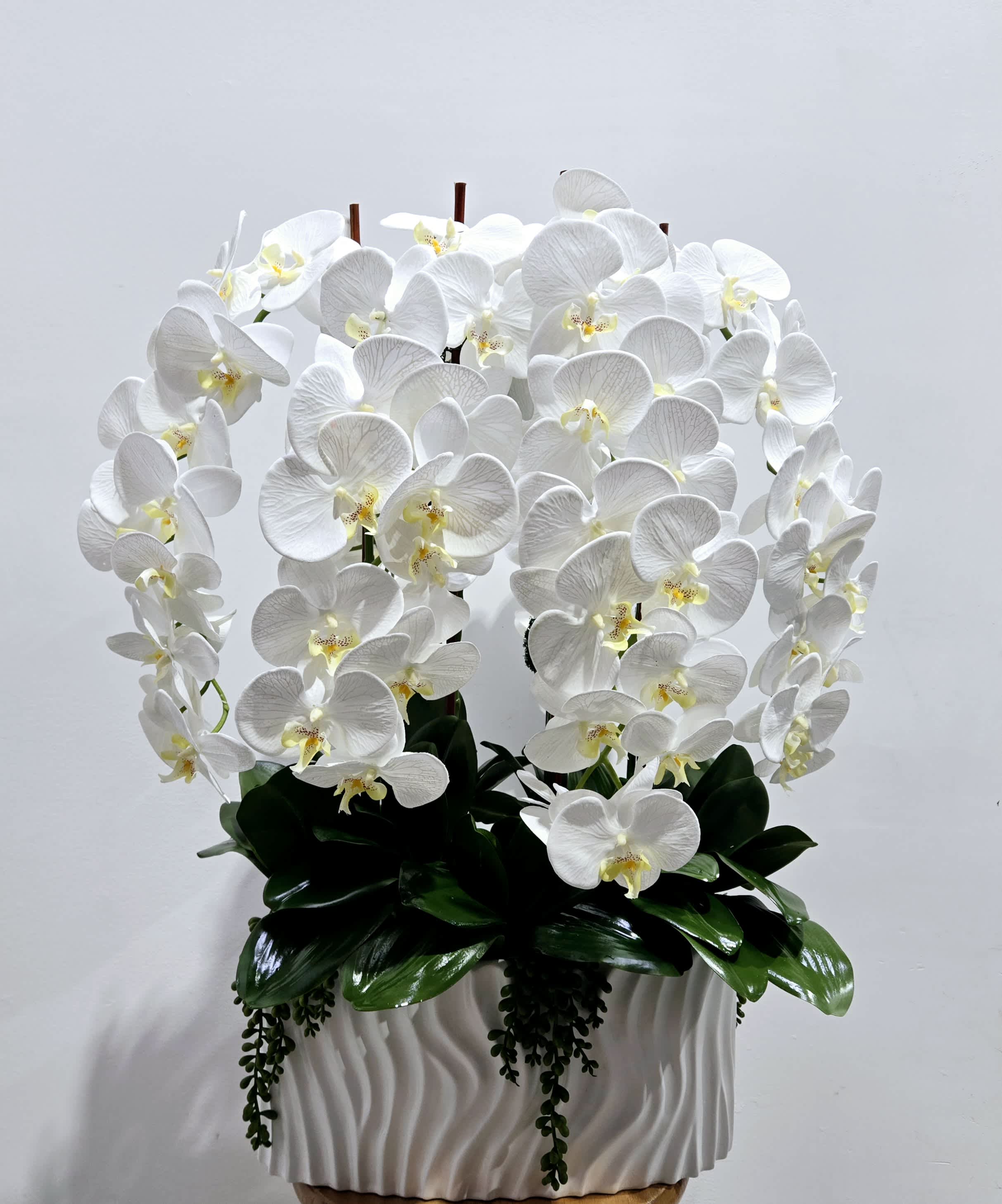 Forever Orchid Planter Forever Orchid Planter - This artificial white phalaenopsis orchid planter was crafted to look very realistic. Don't be fooled, it is not real but it looks like it is.