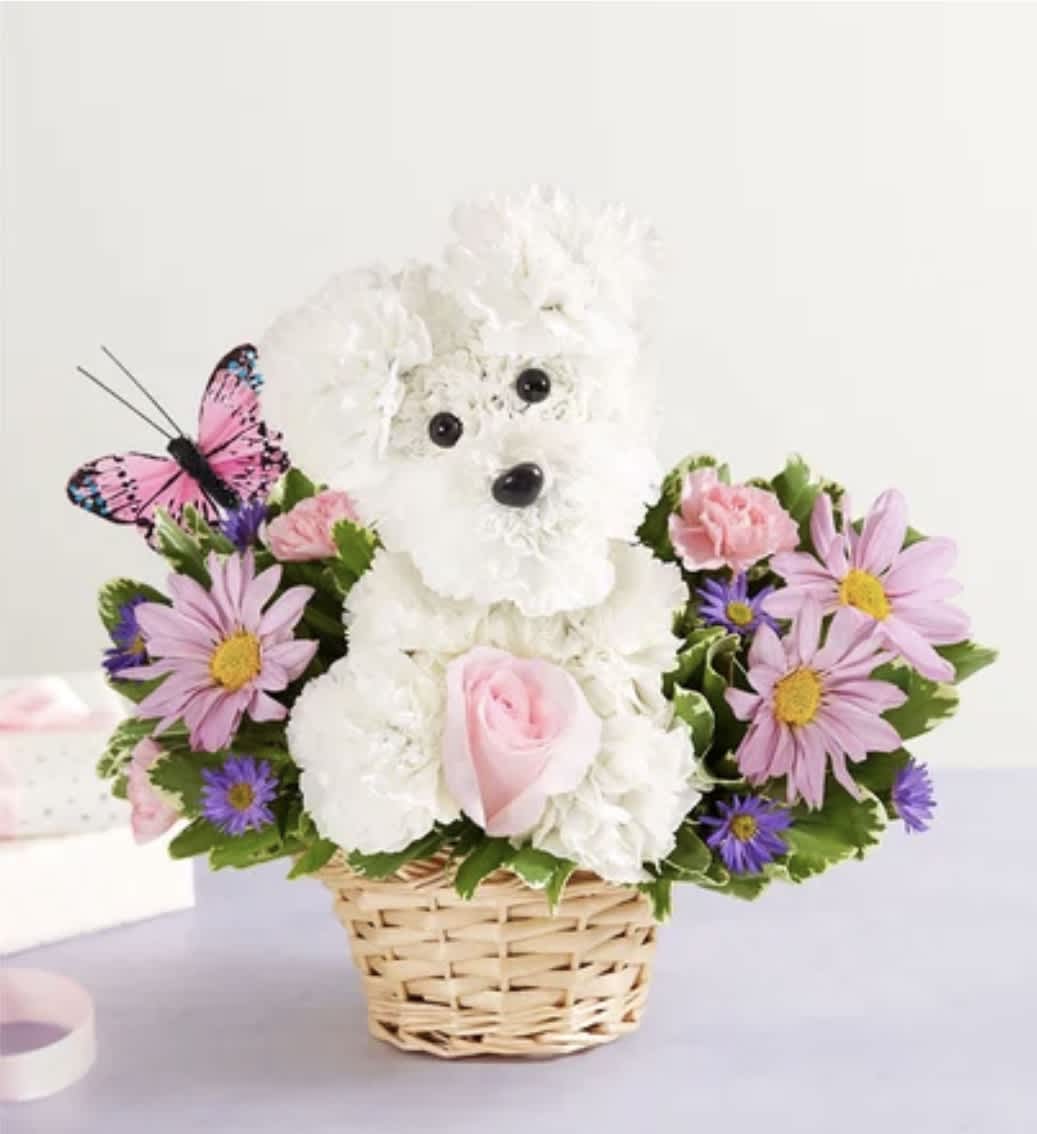 Precious pup for Mom -  Our truly original 3D pup is a precious Mother’s Day surprise. Crafted from white carnations, with sweet pink blooms all around and a butterfly accent, this canine creation is designed in a dog bed basket.