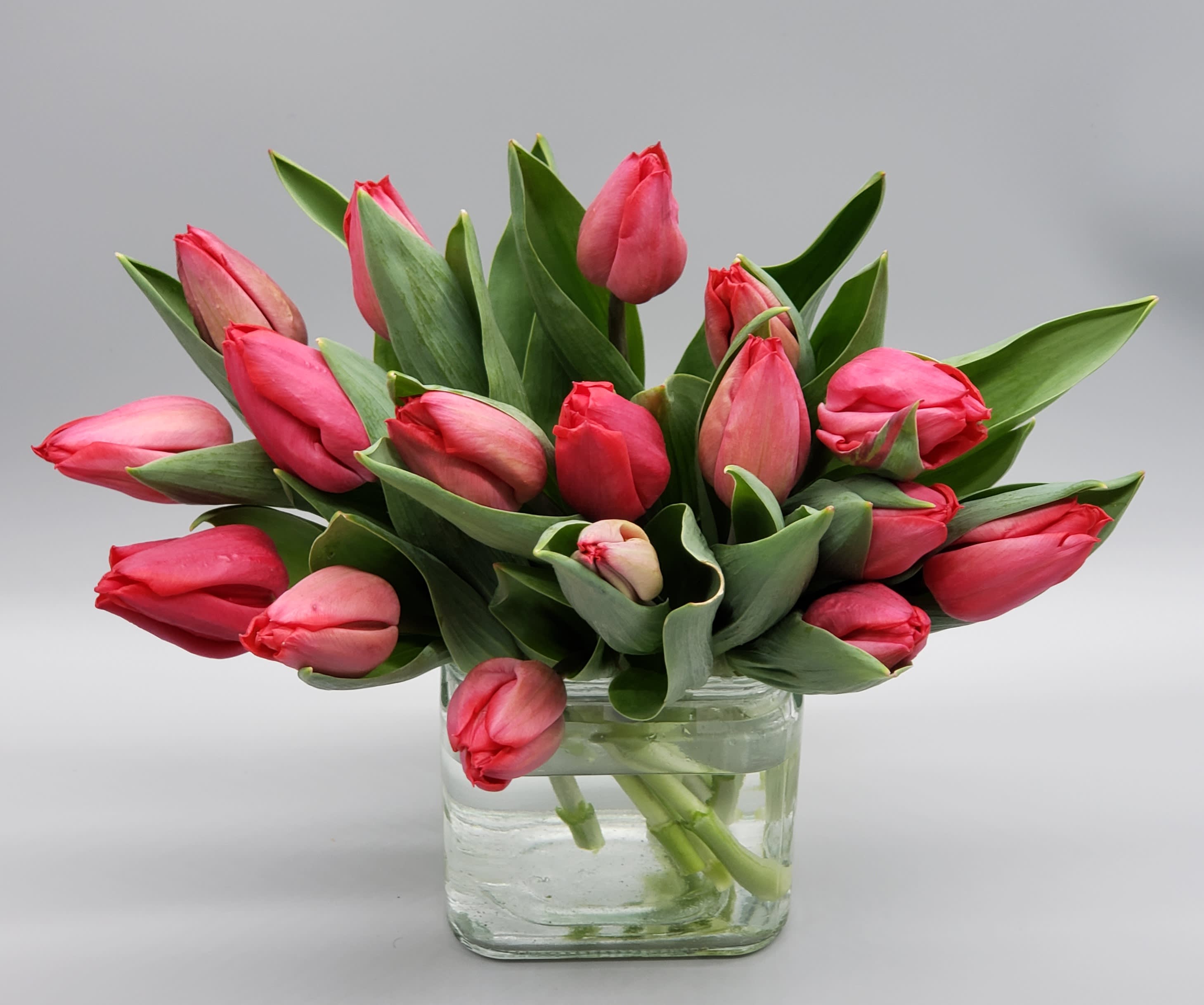 Tulips Galore - We have beautiful tulips to adorn your space . Tulips put a smile on everyones face!