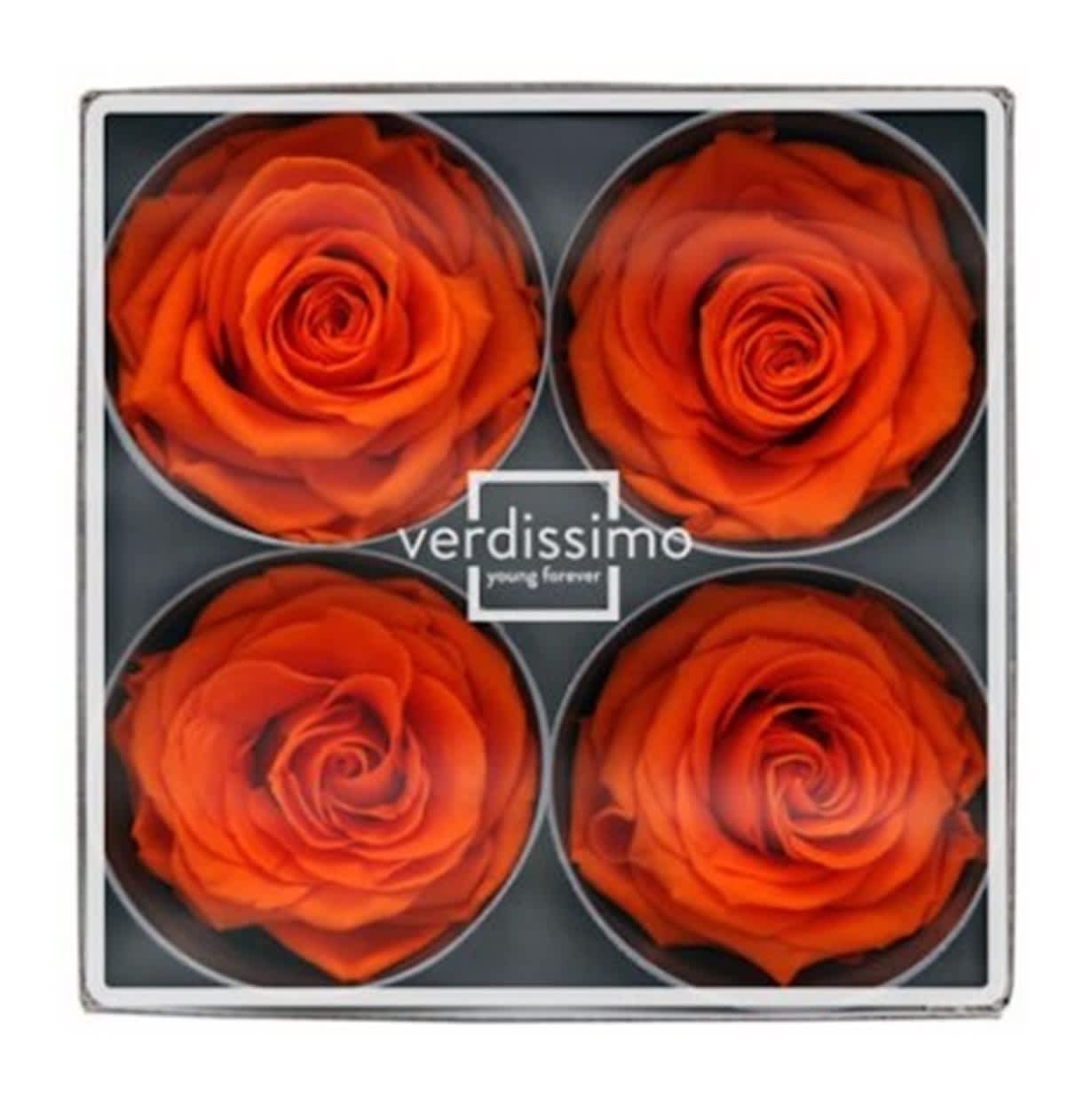 Preserved Roses - 4 pack - Orange - Preserved roses are real roses last 1 - 5 years and require no water and no sunshine.   They make a great alternative to a fresh rose and will display its vibrant colour for years. 