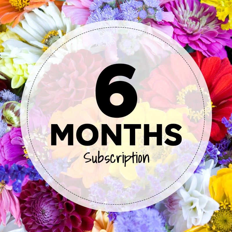 6 Months Subscription (Monthly) 6 Months Subscription (Monthly) - Introducing our monthly flower subscription! Let our top designers create a wonderful fresh arrangement for you to enjoy weekly, biweekly or monthly!