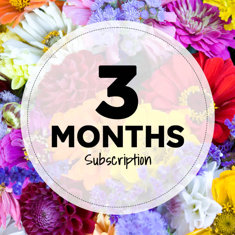 3 Month Subscription (Weekly) - Introducing our monthly flower subscription! Let our top designers create a wonderful fresh arrangement for you to enjoy weekly, biweekly or monthly!  13 arrangements