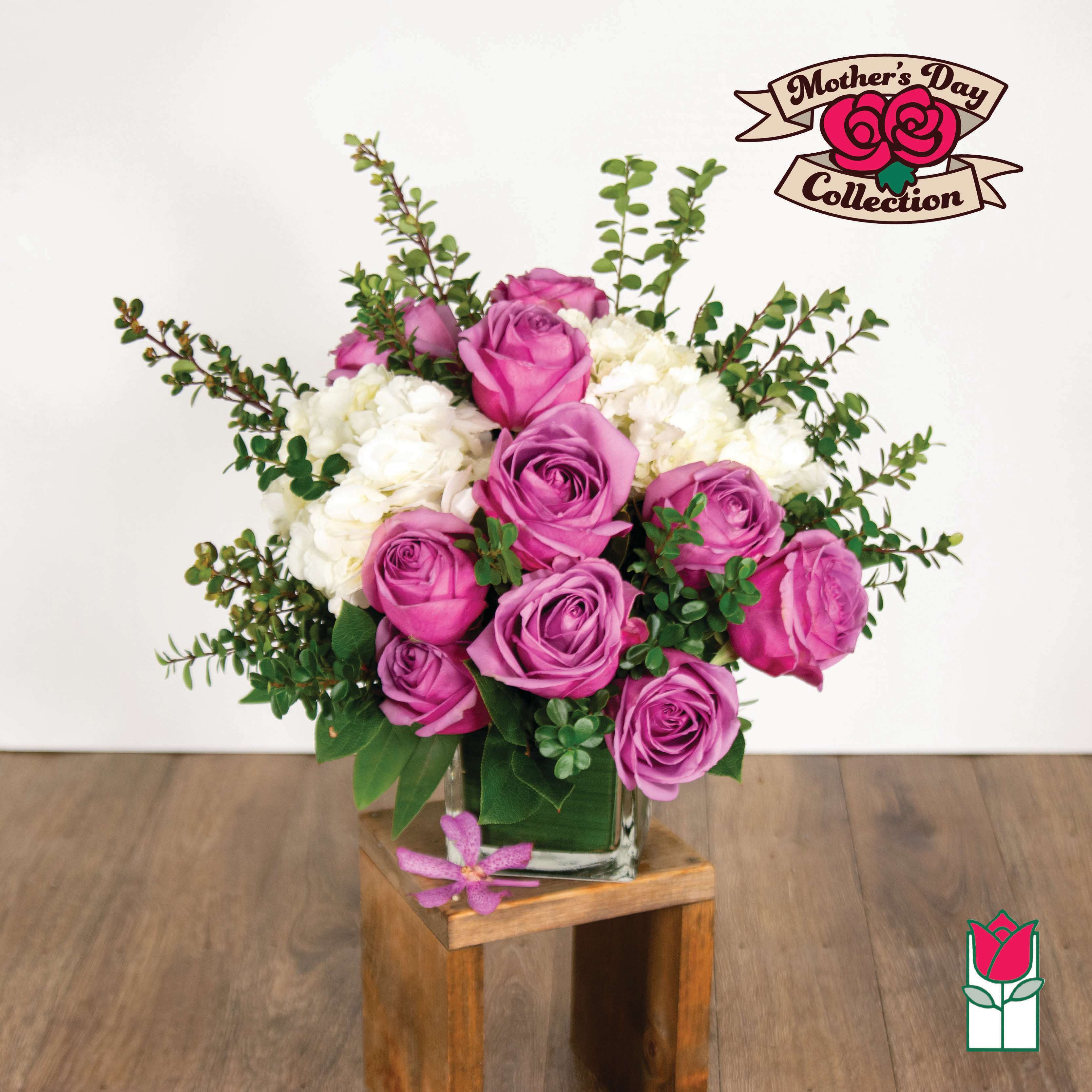 Beretania's Compact Bouquet (Lavender Rose) [Lavender Hue Varies] - Elevate your space with the Beretania Florist Compact Bouquet, a charming floral arrangement that effortlessly combines elegance and versatility. Housed in a beautiful 4&quot; glass cube vase, this compact bouquet features a delightful composition of hydrangeas, foliage, and your choice of roses in various colors, allowing you to tailor it to your preferences.  Whether you opt for the timeless allure of red roses, the soft romance of pink, or the vibrant cheerfulness of yellow, each variant of the compact bouquet brings a unique charm to any setting. The meticulous design ensures a harmonious blend of textures and hues, creating a visually appealing arrangement that suits any occasion.  For those seeking an extra touch of sophistication, consider our upgraded option – the Olivia Compact Bouquet. This variant remains true to the original design but introduces the exotic beauty of colorful cymbidium orchid blossoms, elevating the bouquet to a new level of elegance.  Perfect as a thoughtful gift or a stunning addition to your own space, the Beretania Florist Compact and Olivia Bouquets are crafted with precision and care, promising a burst of floral beauty that suits your style and preferences. Choose the color that speaks to you and let the timeless beauty of these bouquets brighten your day.  Experience the convenience of our reliable delivery service that caters to your preferences. We deliver in the Honolulu area and can effortlessly schedule a delivery to your doorstep or opt for a convenient pick-up option. Our commitment to punctuality and freshness ensures that your Beretania Florist Compact or Olivia Bouquet arrives in pristine condition, ready to bring joy to any celebration or space. Trust us to deliver not just flowers but a seamless and delightful experience right to your doorstep or preferred pick-up location in Honolulu.