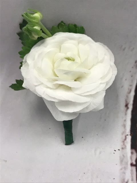 Ranunculus Boutonniere  Pin o  - White Ranunculus Boutonniere accented with greenery 