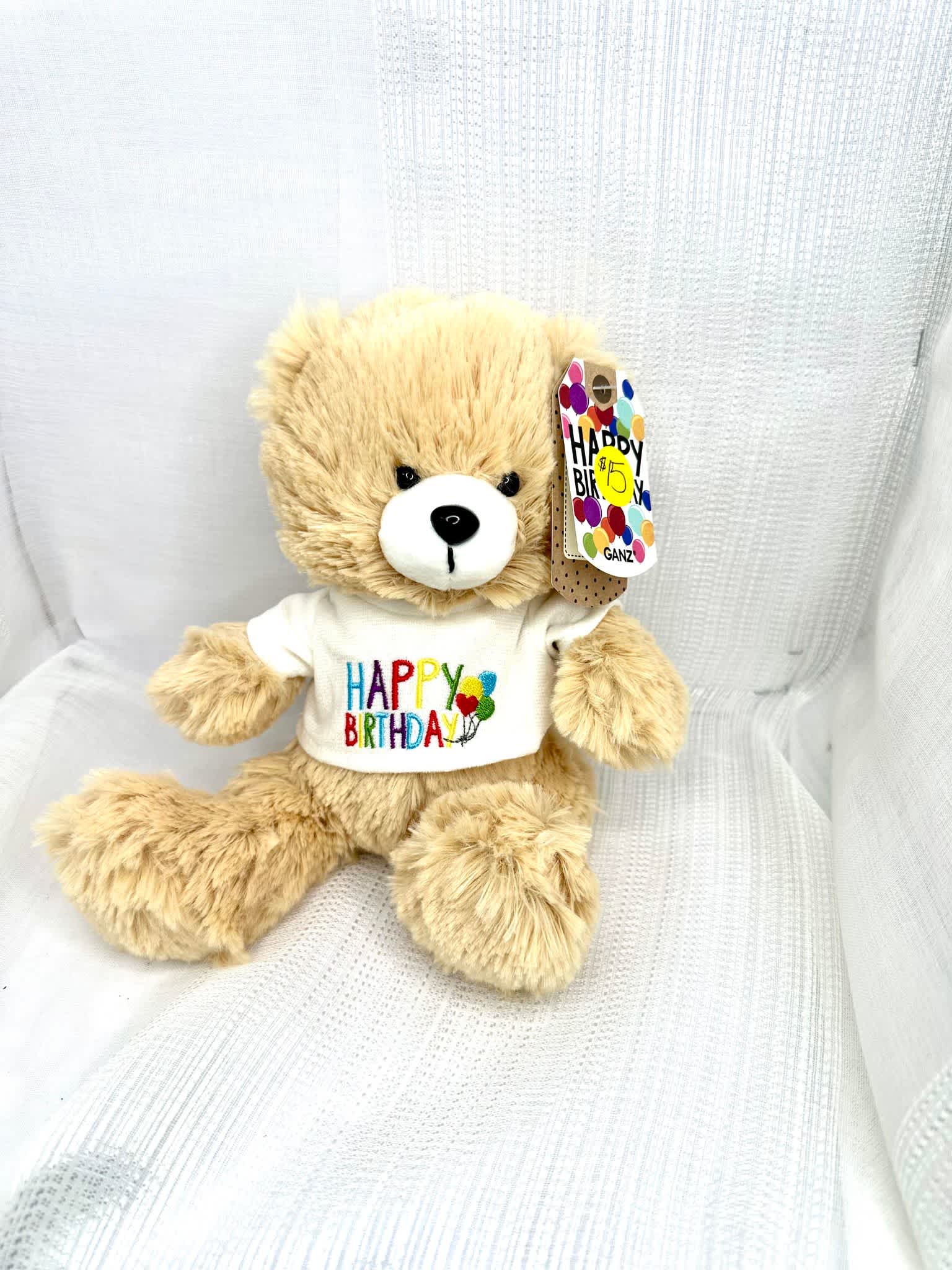 Ganz- Birthday Teddy - A 9 inch brown teddy bear wishing you the happiest birthday! 