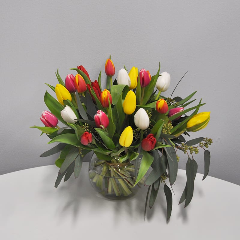 K133 Two Dozen Tulips -  &quot;As the title suggests, get ready for a double dose of delight—two dozen assorted tulips arranged in a vase!  Embrace the joy of variety as tulip colors and fillers surprise you each week, ensuring a tasteful selection every time. Whether it's a burst of vibrant hues or a serene pastel palette, your vase will overflow with happiness. Brighten your day and your space with this delightful bouquet that promises endless smiles. Let the tulip party begin! &quot;